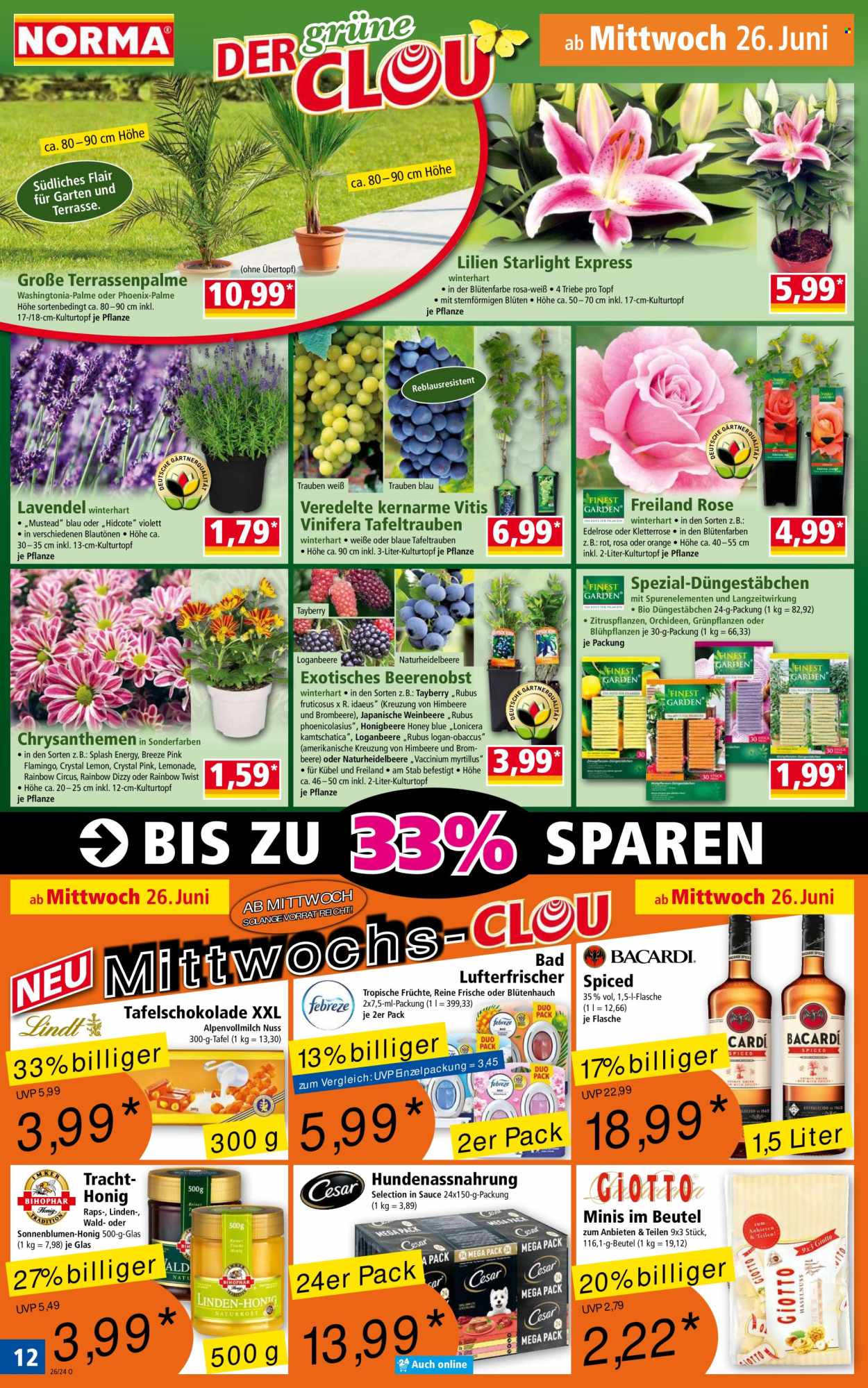 Norma Prospekte  - 24.06.2024 - 30.06.2024. Seite 12