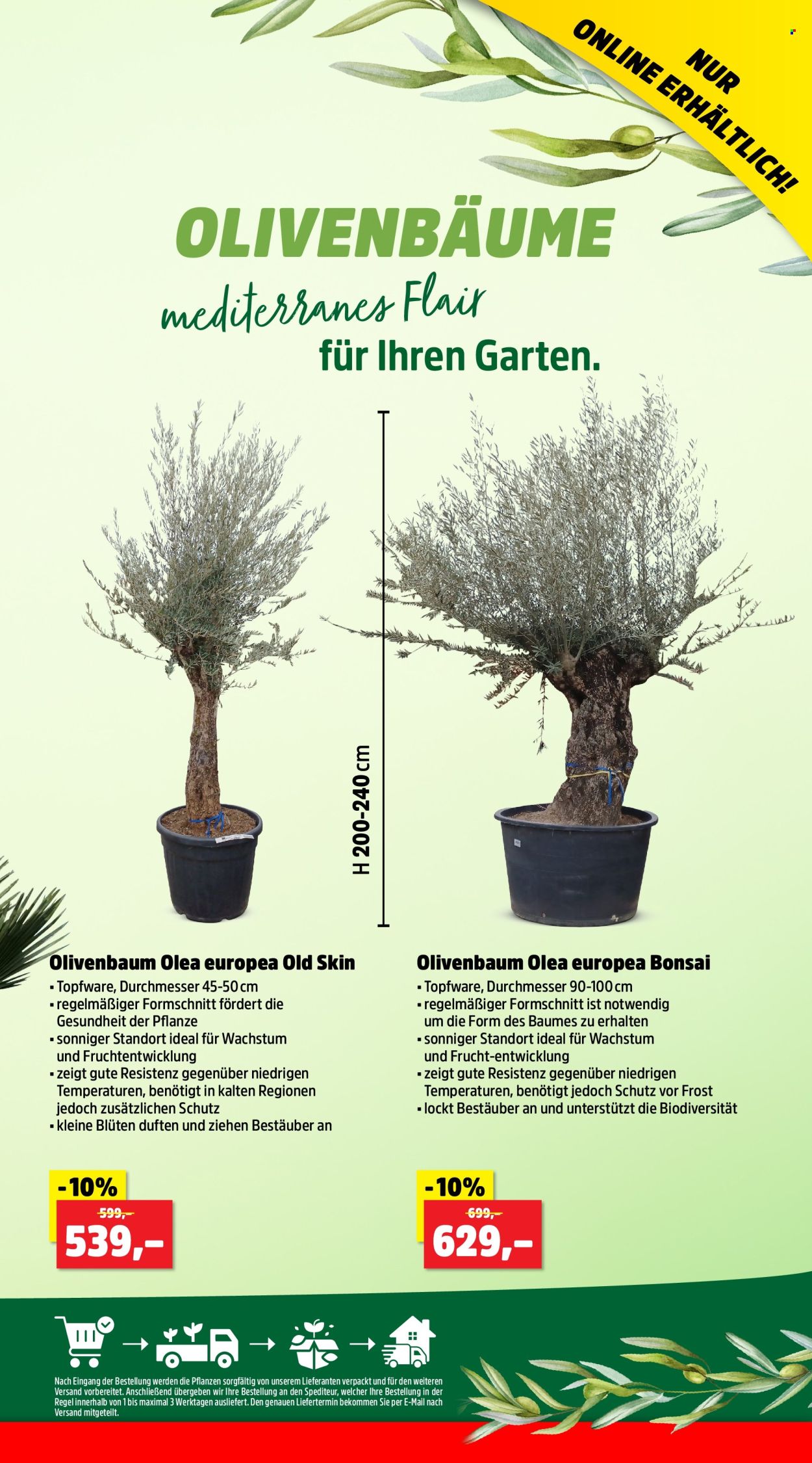 Thomas Philipps Prospekte  - 17.06.2024 - 22.06.2024. Seite 14