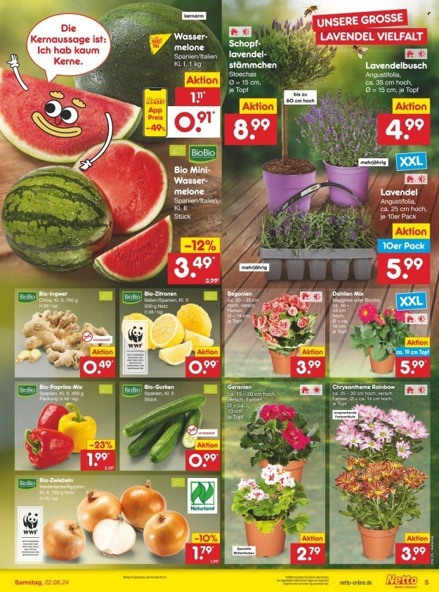 Netto Marken-Discount Prospekte  - 17.06.2024 - 22.06.2024. Seite 5