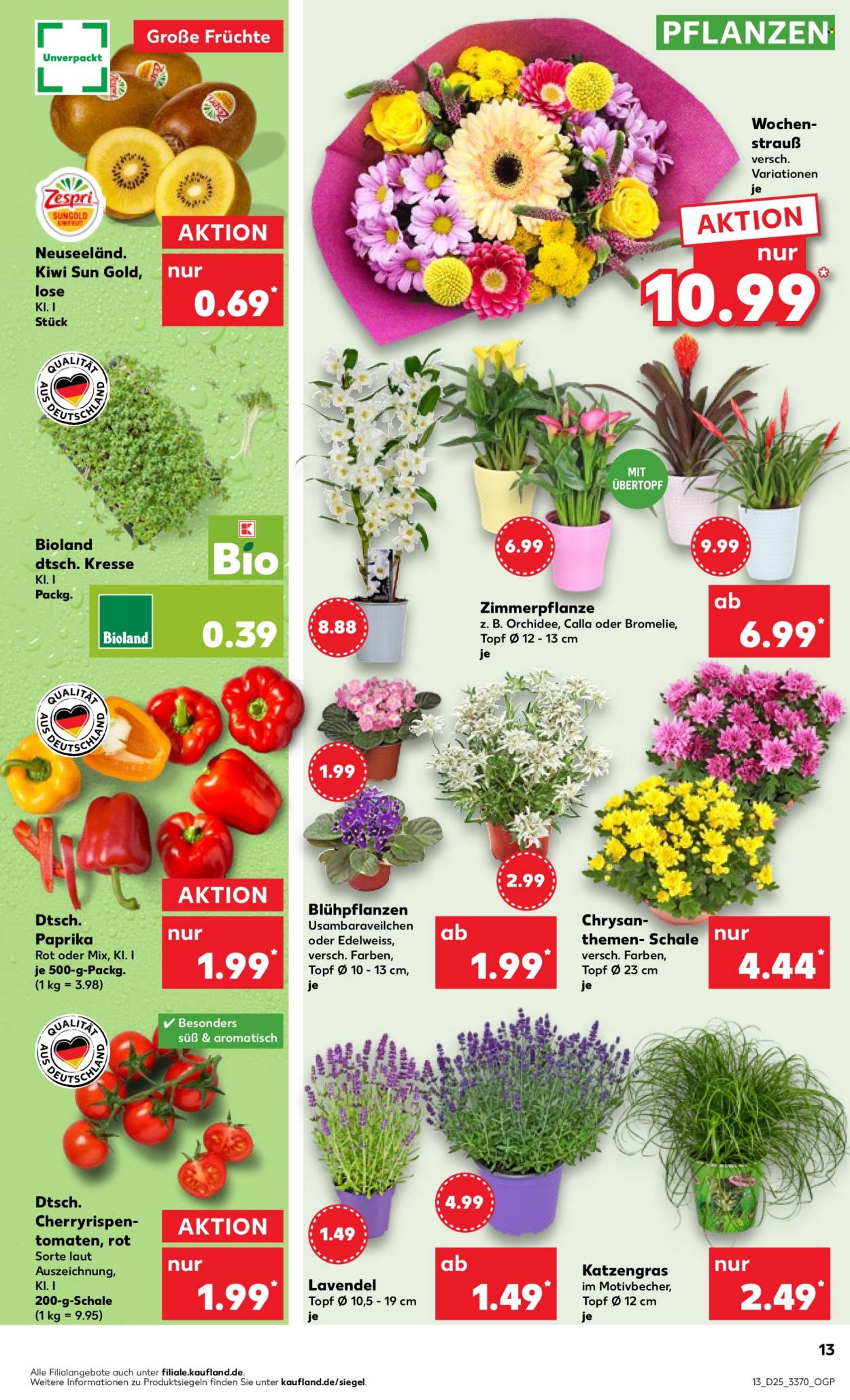 Kaufland Prospekte  - 20.06.2024 - 26.06.2024. Seite 13