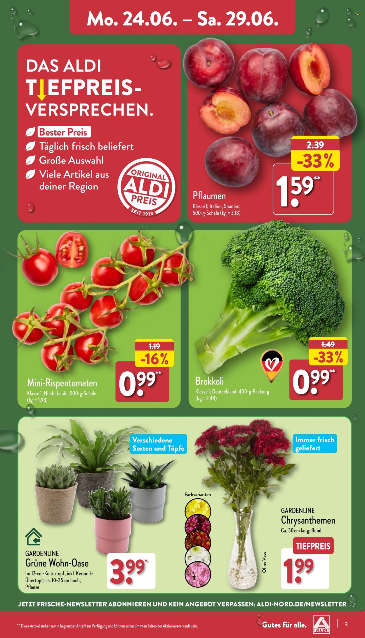ALDI Nord Prospekte  - 24.06.2024 - 29.06.2024. Seite 3