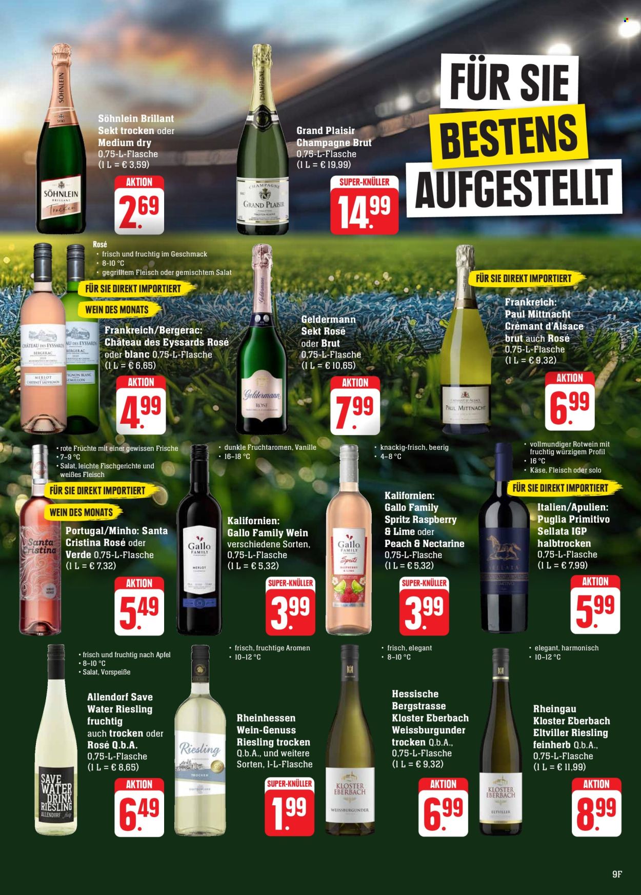 Edeka Prospekte  - 17.06.2024 - 22.06.2024. Seite 9