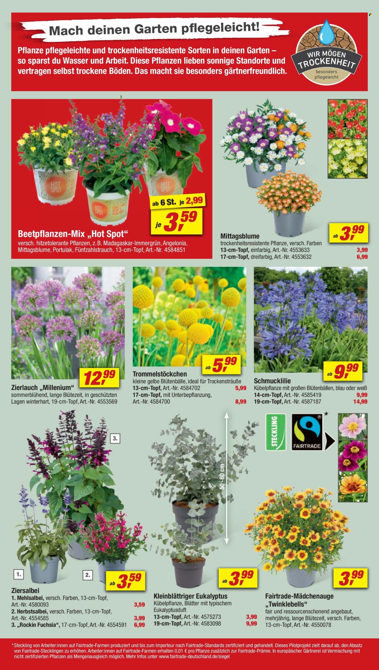 toom Baumarkt Prospekte  - 22.06.2024 - 28.06.2024. Seite 4