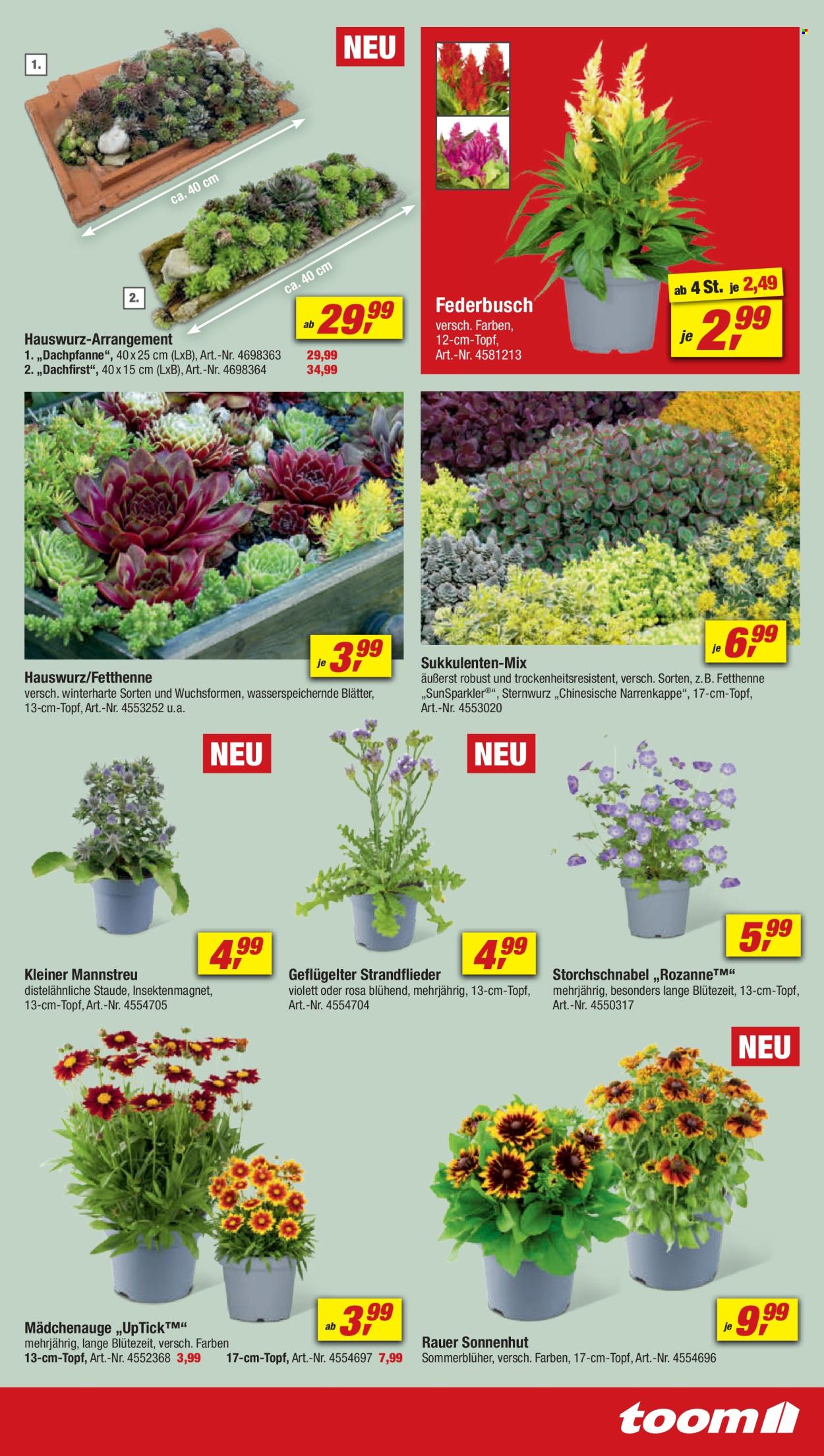 toom Baumarkt Prospekte  - 22.06.2024 - 28.06.2024. Seite 5