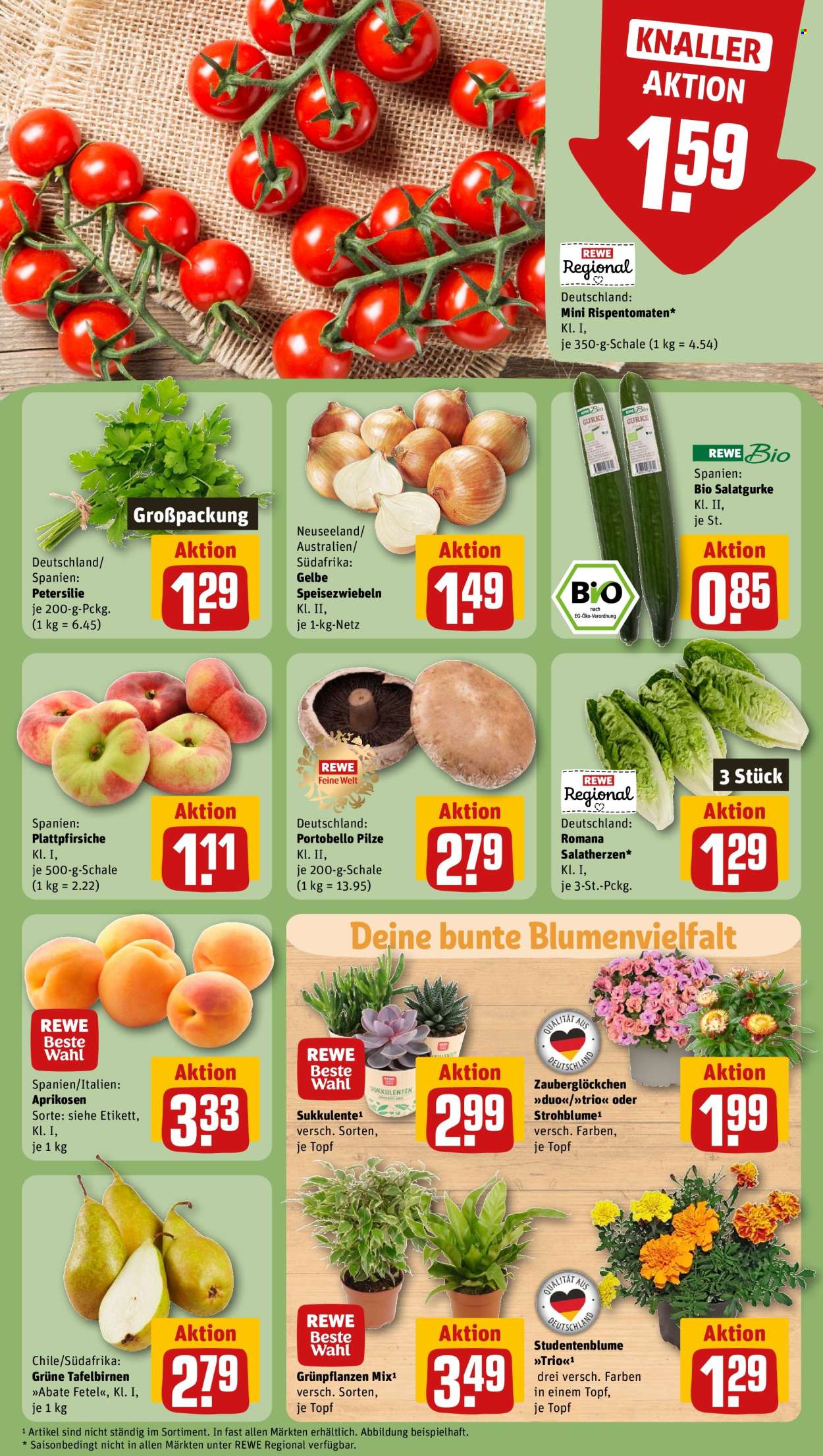 REWE Prospekte  - 24.06.2024 - 29.06.2024. Seite 7