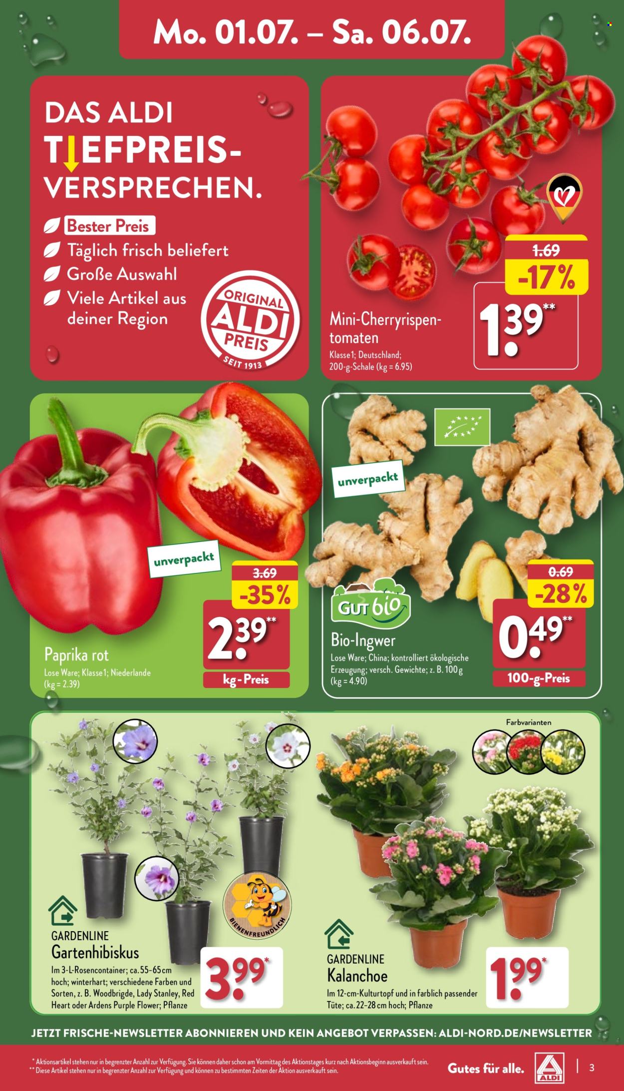 ALDI Nord Prospekte  - 1.07.2024 - 6.07.2024. Seite 3