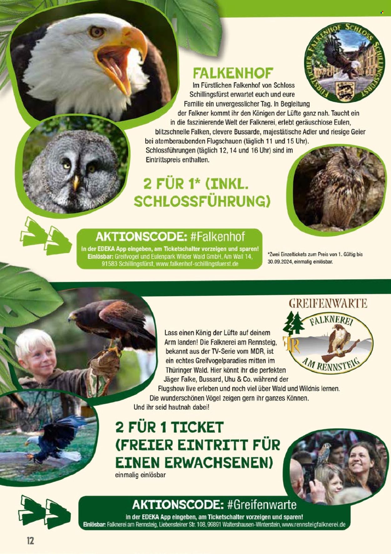 Diska Prospekte  - 24.06.2024 - 29.06.2024. Seite 24