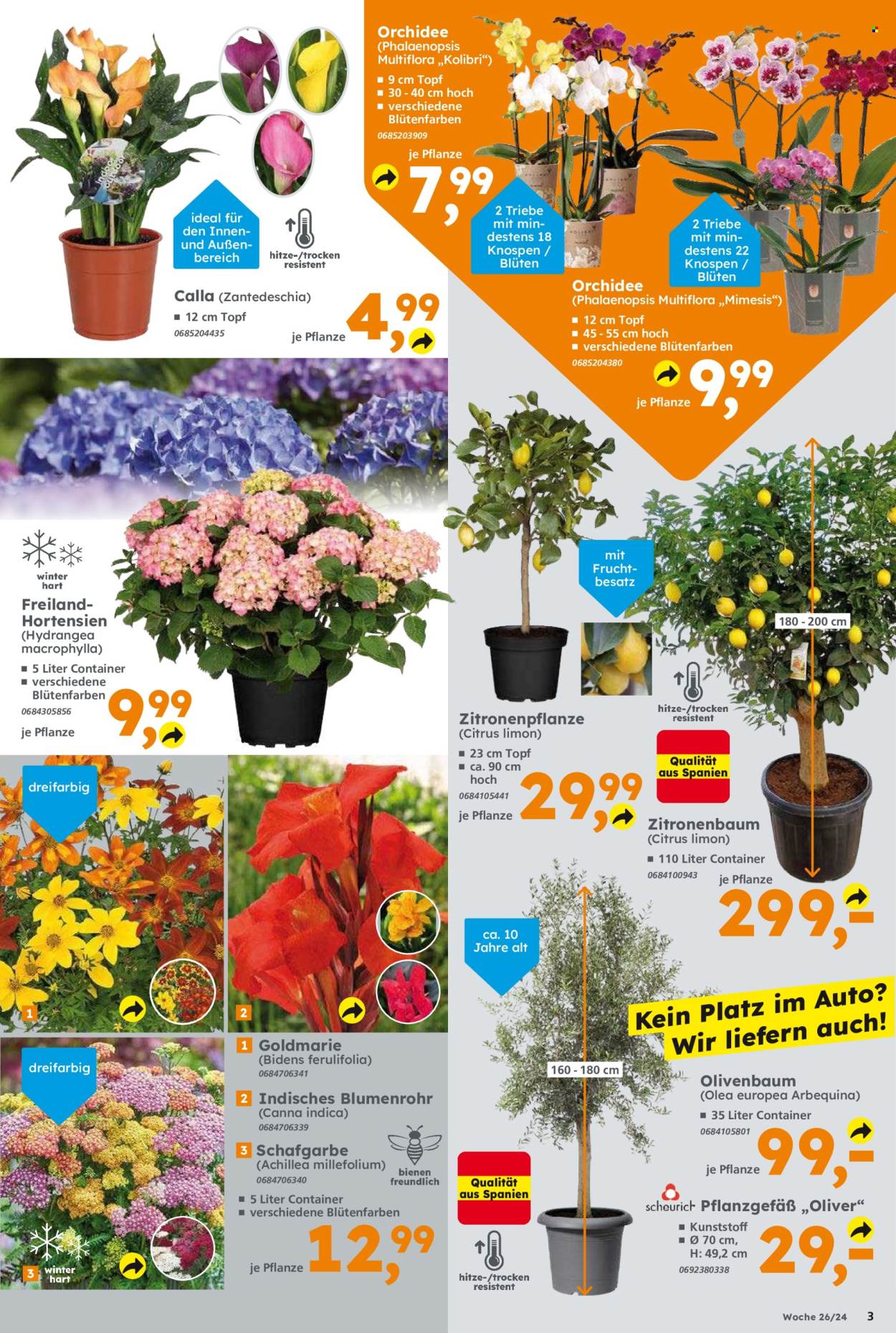Globus Baumarkt Prospekte  - 24.06.2024 - 29.06.2024. Seite 3