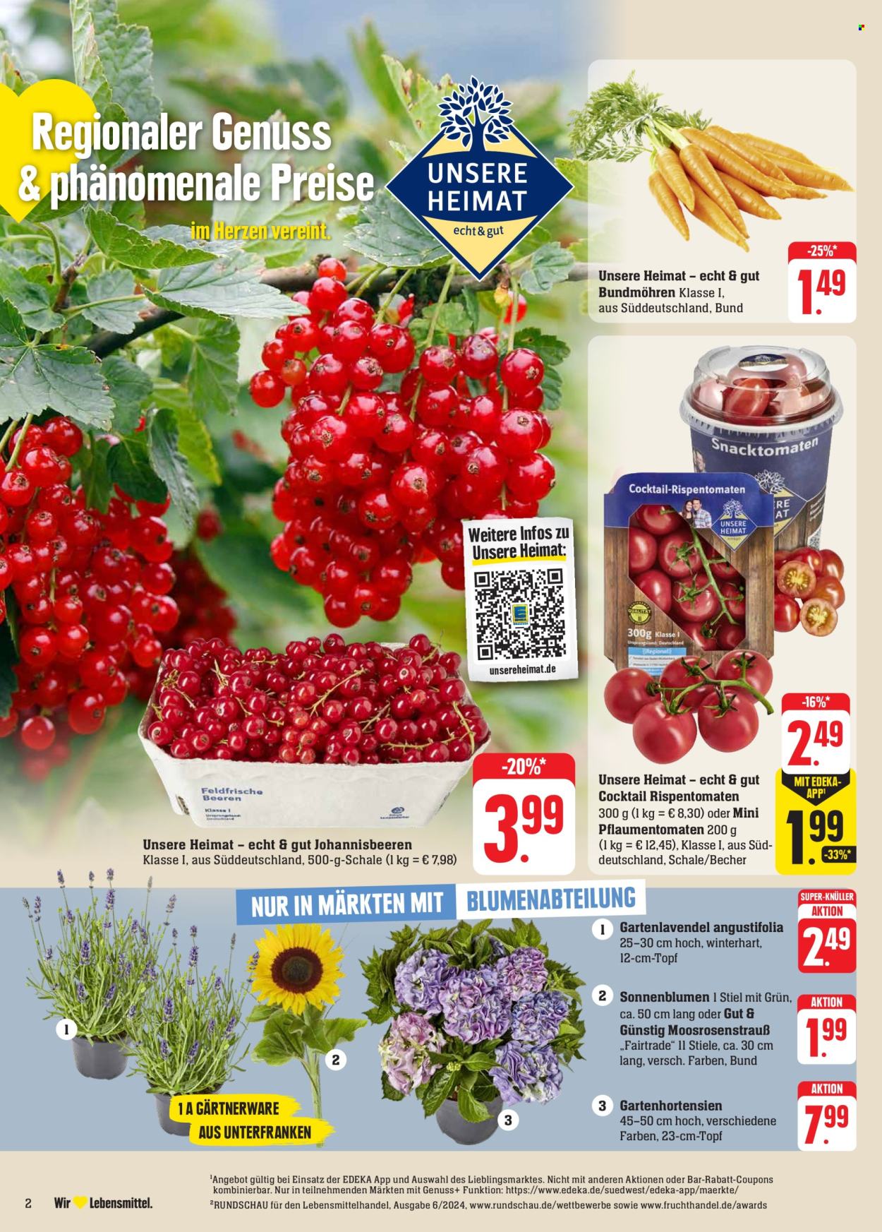 Edeka Prospekte  - 24.06.2024 - 29.06.2024. Seite 4