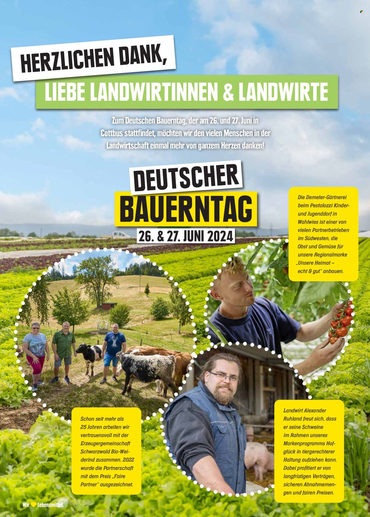Edeka Prospekte  - 24.06.2024 - 29.06.2024. Seite 8