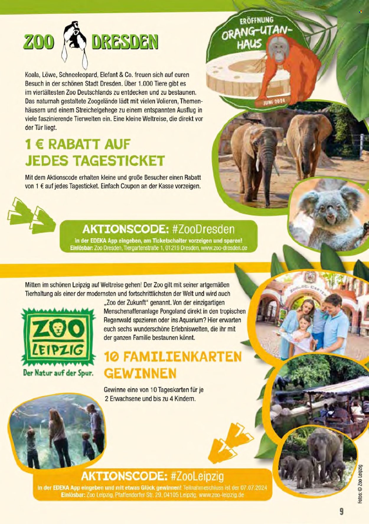 Marktkauf Prospekte  - 24.06.2024 - 29.06.2024. Seite 53