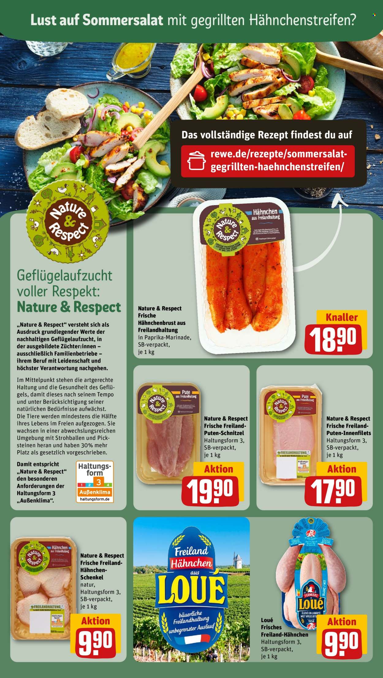 REWE Prospekte  - 1.07.2024 - 6.07.2024. Seite 14