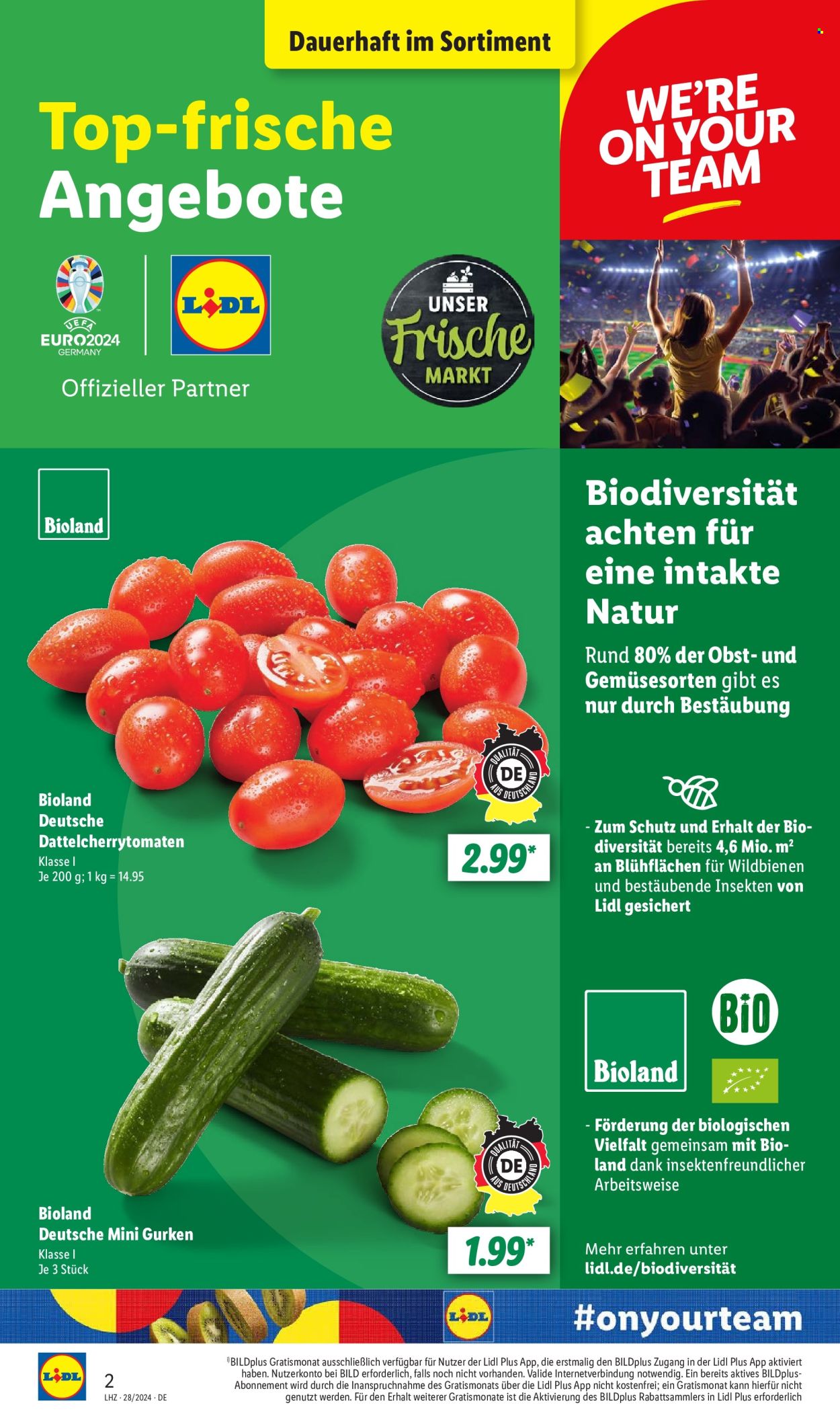 Lidl Prospekte  - 8.07.2024 - 13.07.2024. Seite 2