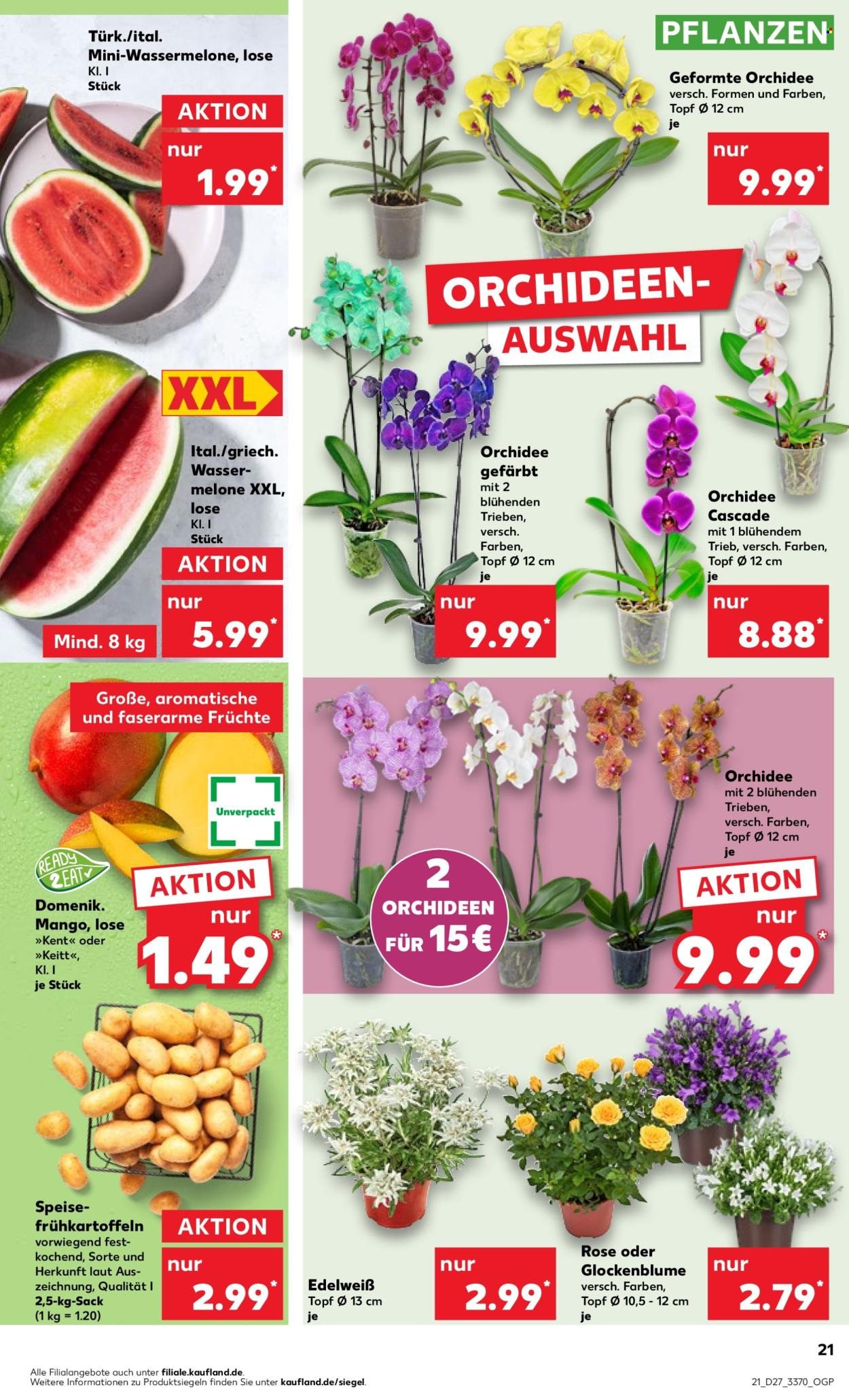 Kaufland Prospekte  - 4.07.2024 - 10.07.2024. Seite 21