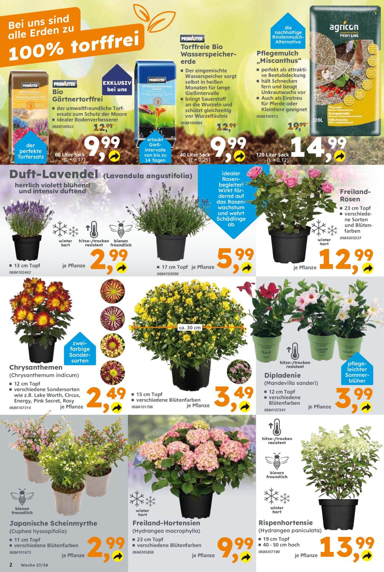 Globus Baumarkt Prospekte  - 1.07.2024 - 6.07.2024. Seite 2