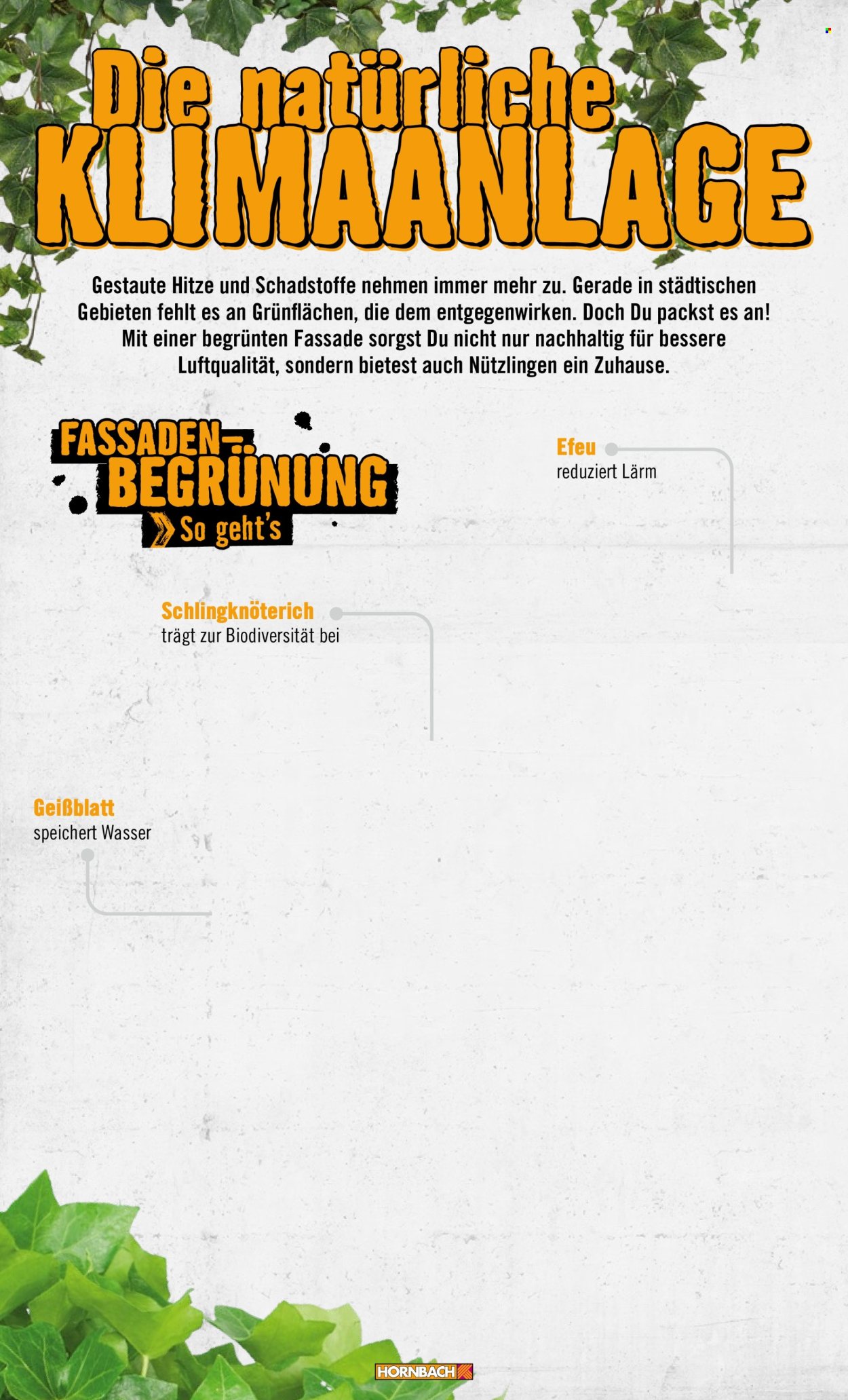 Hornbach Prospekte . Seite 10