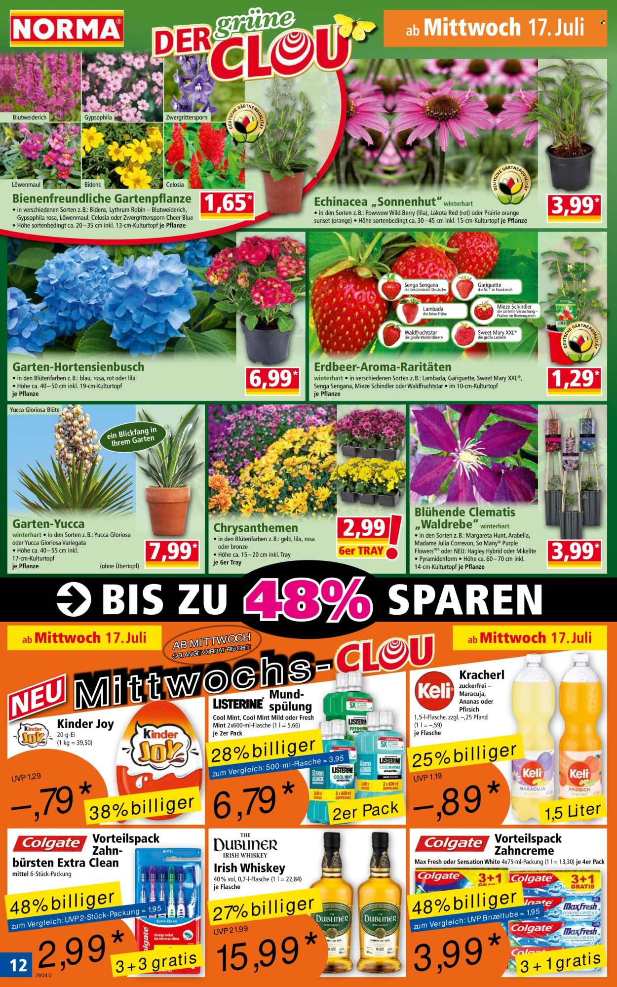 Norma Prospekte  - 15.07.2024 - 21.07.2024. Seite 12