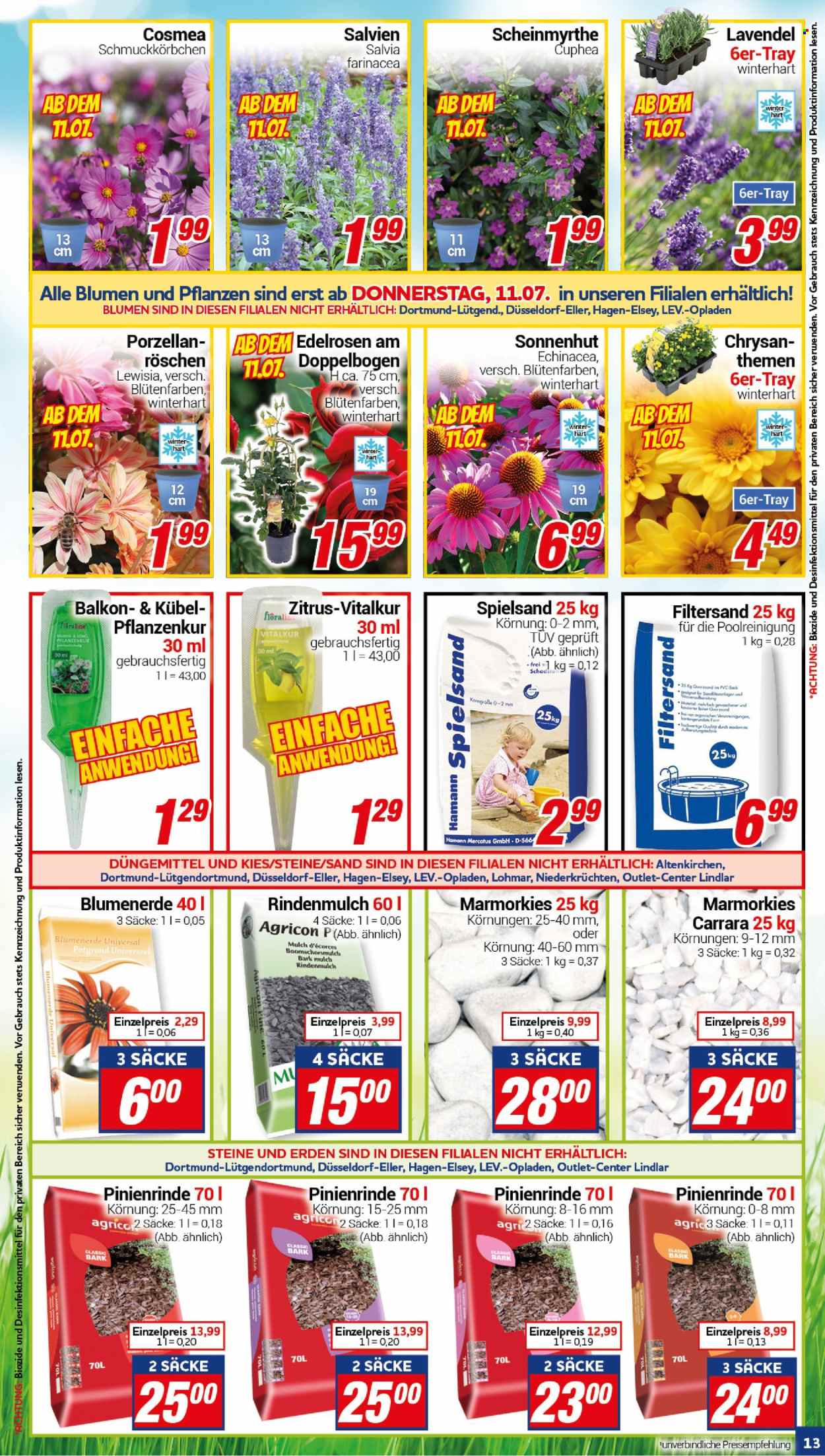 CENTERSHOP Prospekte  - 8.07.2024 - 13.07.2024. Seite 13