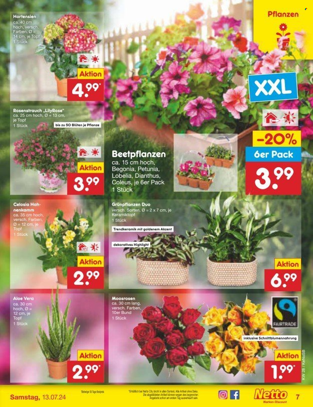 Netto Marken-Discount Prospekte  - 8.07.2024 - 13.07.2024. Seite 7