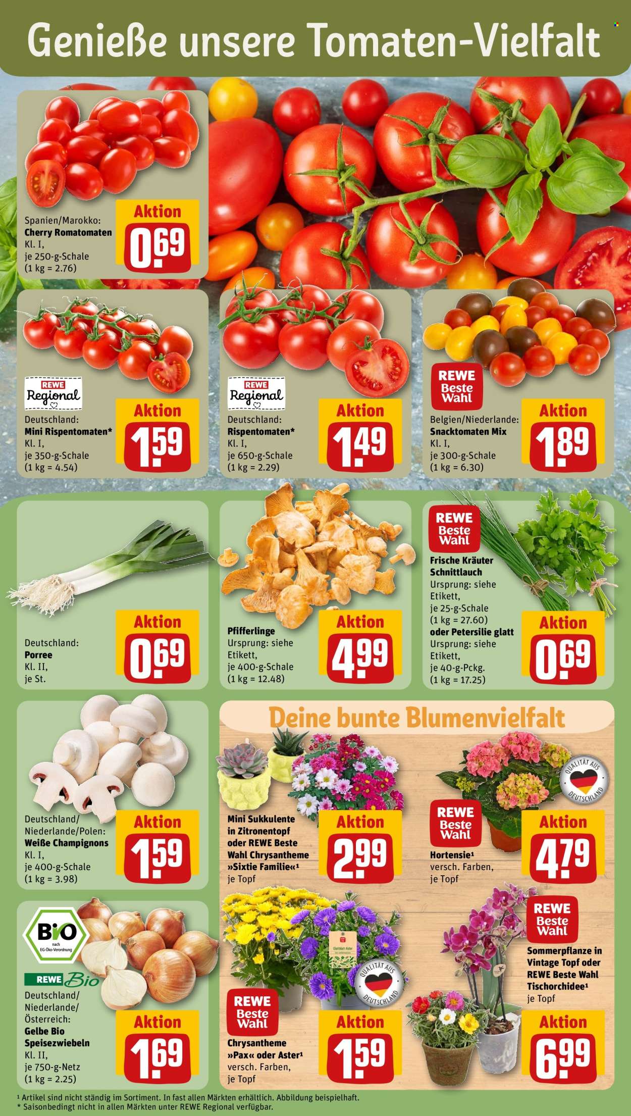 REWE Prospekte  - 15.07.2024 - 20.07.2024. Seite 7
