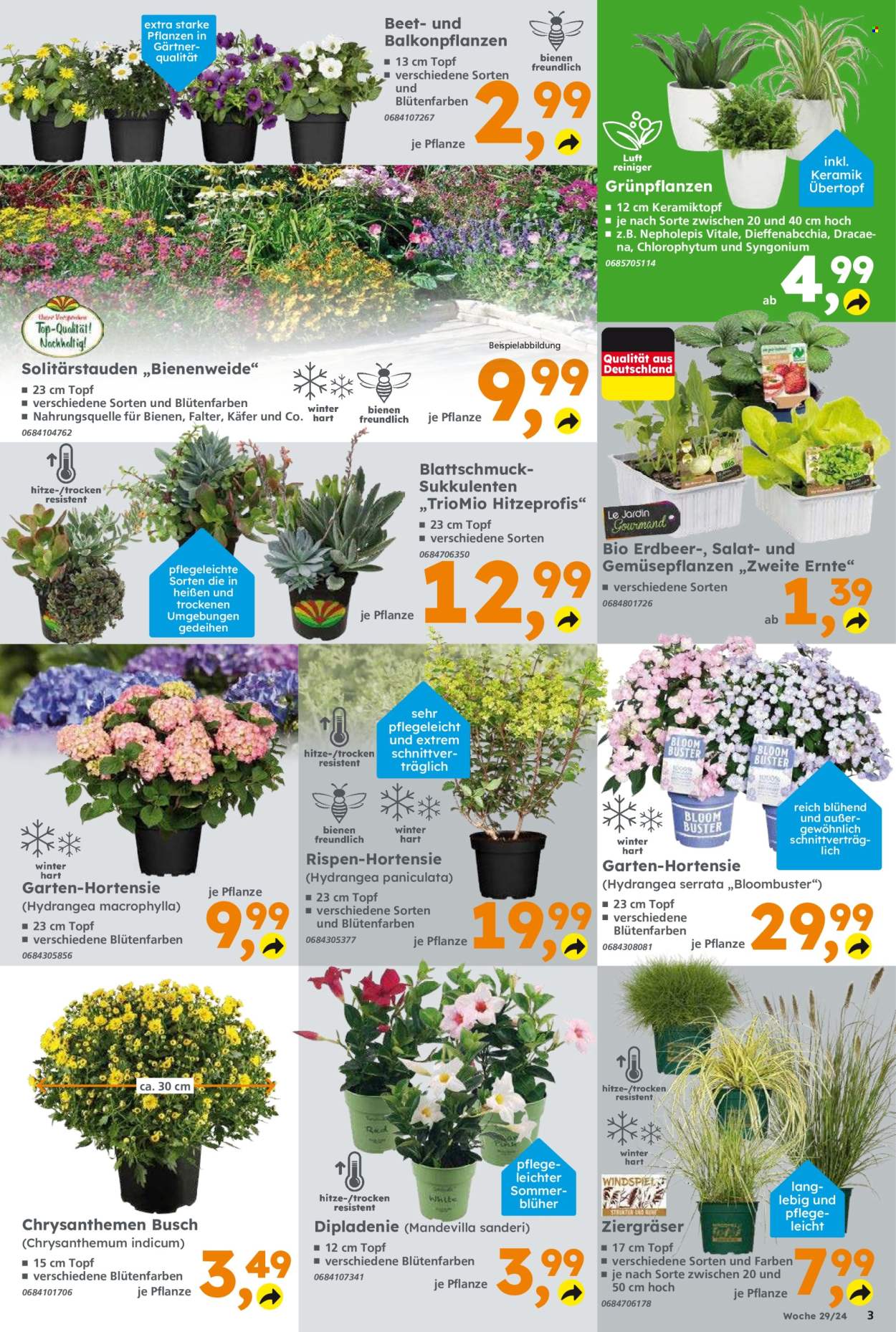 Globus Baumarkt Prospekte  - 15.07.2024 - 20.07.2024. Seite 3