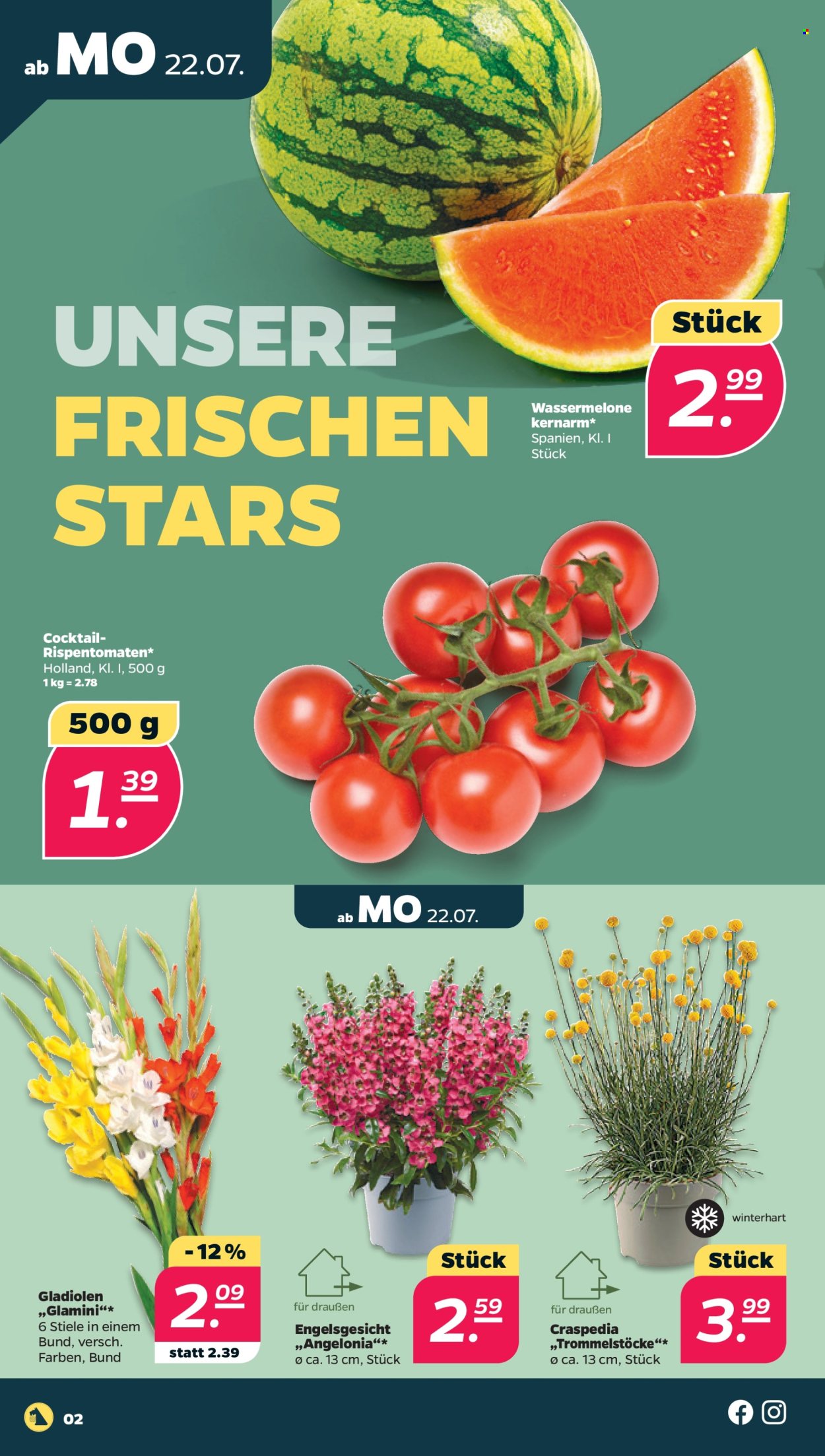 Netto Prospekte  - 22.07.2024 - 27.07.2024. Seite 2