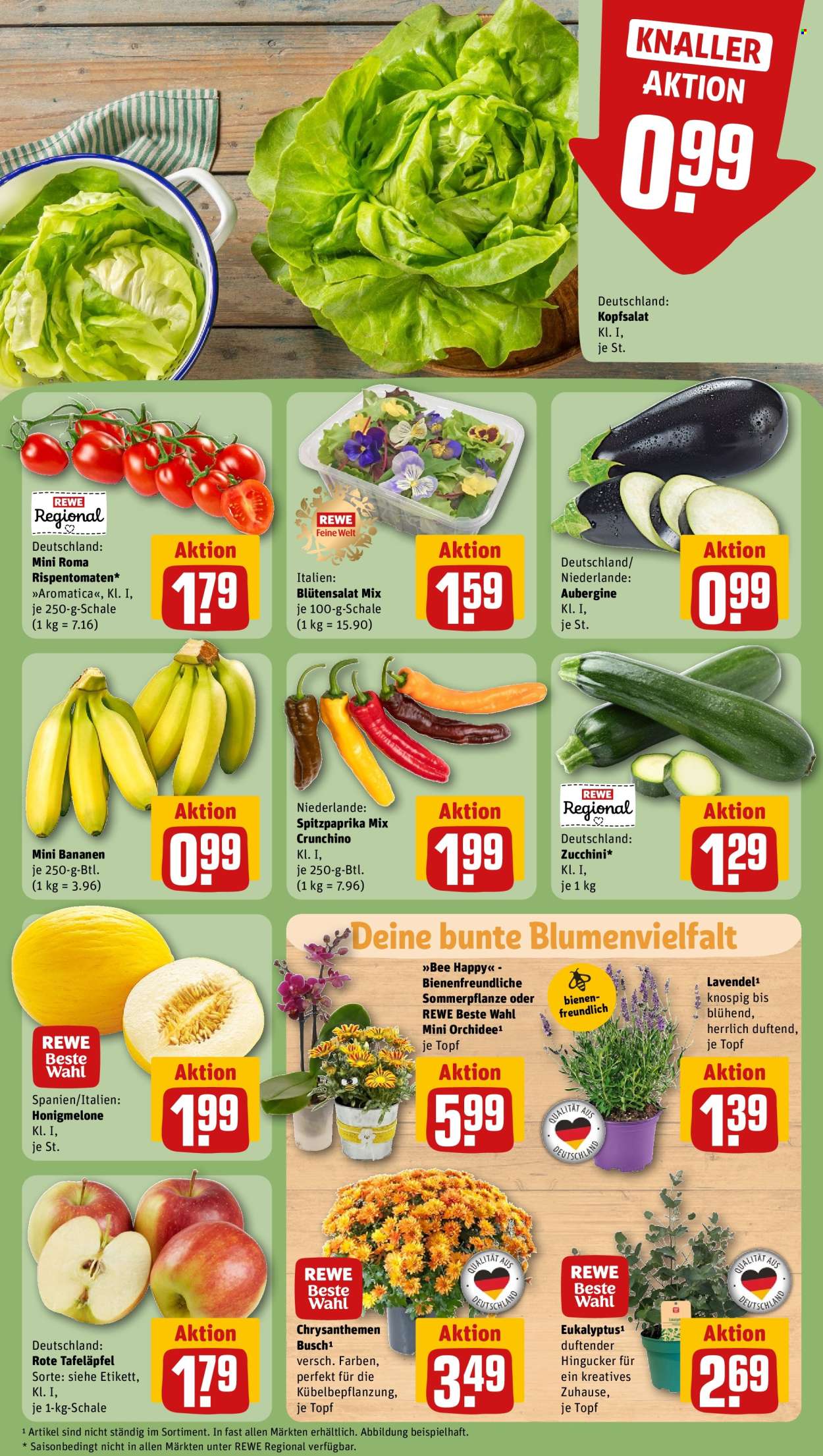 REWE Prospekte  - 22.07.2024 - 27.07.2024. Seite 7