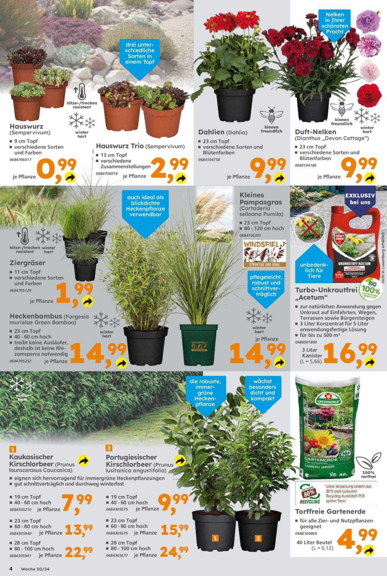Globus Baumarkt Prospekte  - 22.07.2024 - 27.07.2024. Seite 4