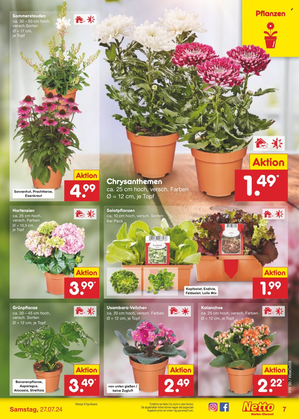 Netto Marken-Discount Prospekte  - 22.07.2024 - 27.07.2024. Seite 7