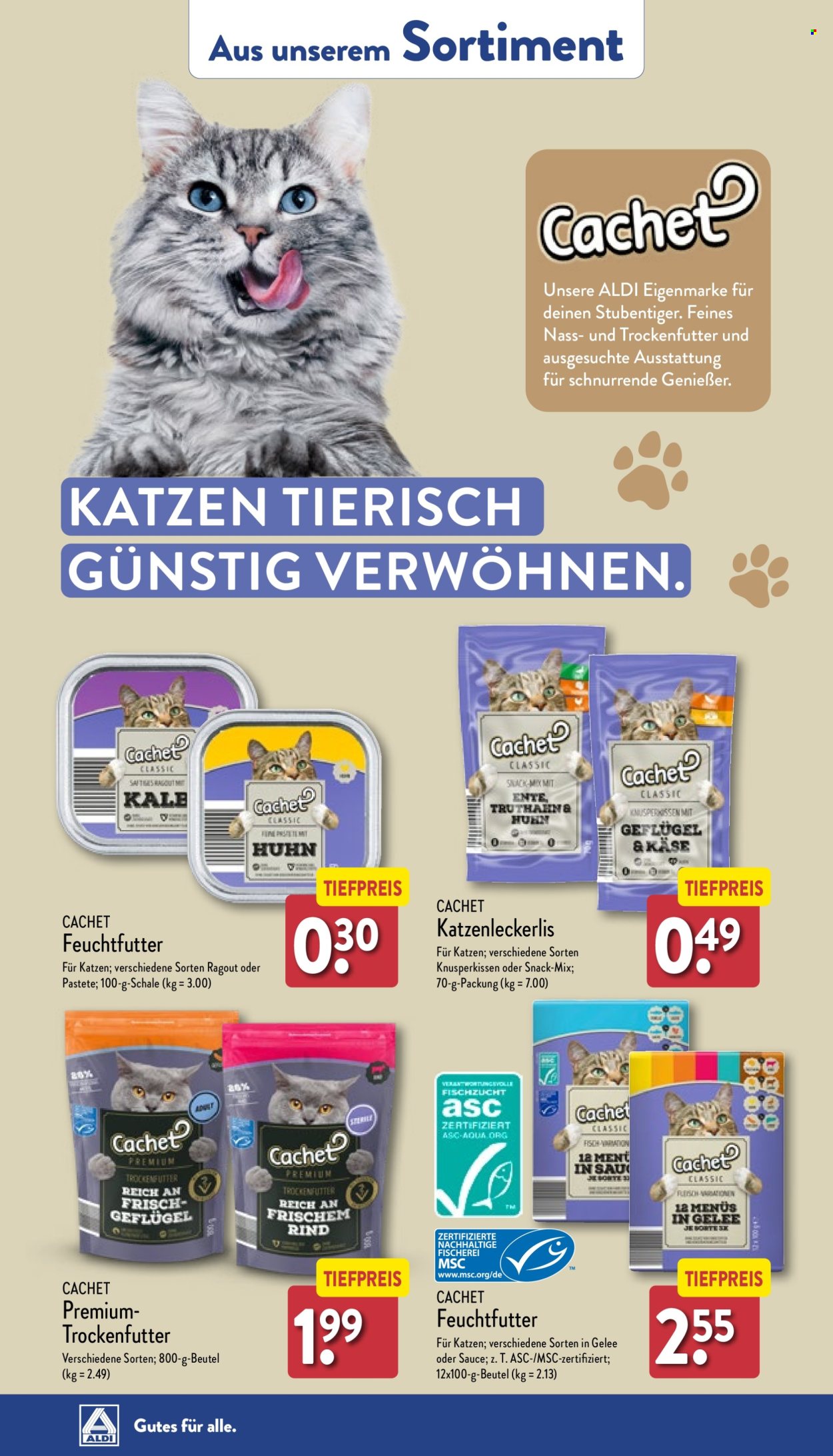 ALDI Nord Prospekte  - 5.08.2024 - 10.08.2024. Seite 36