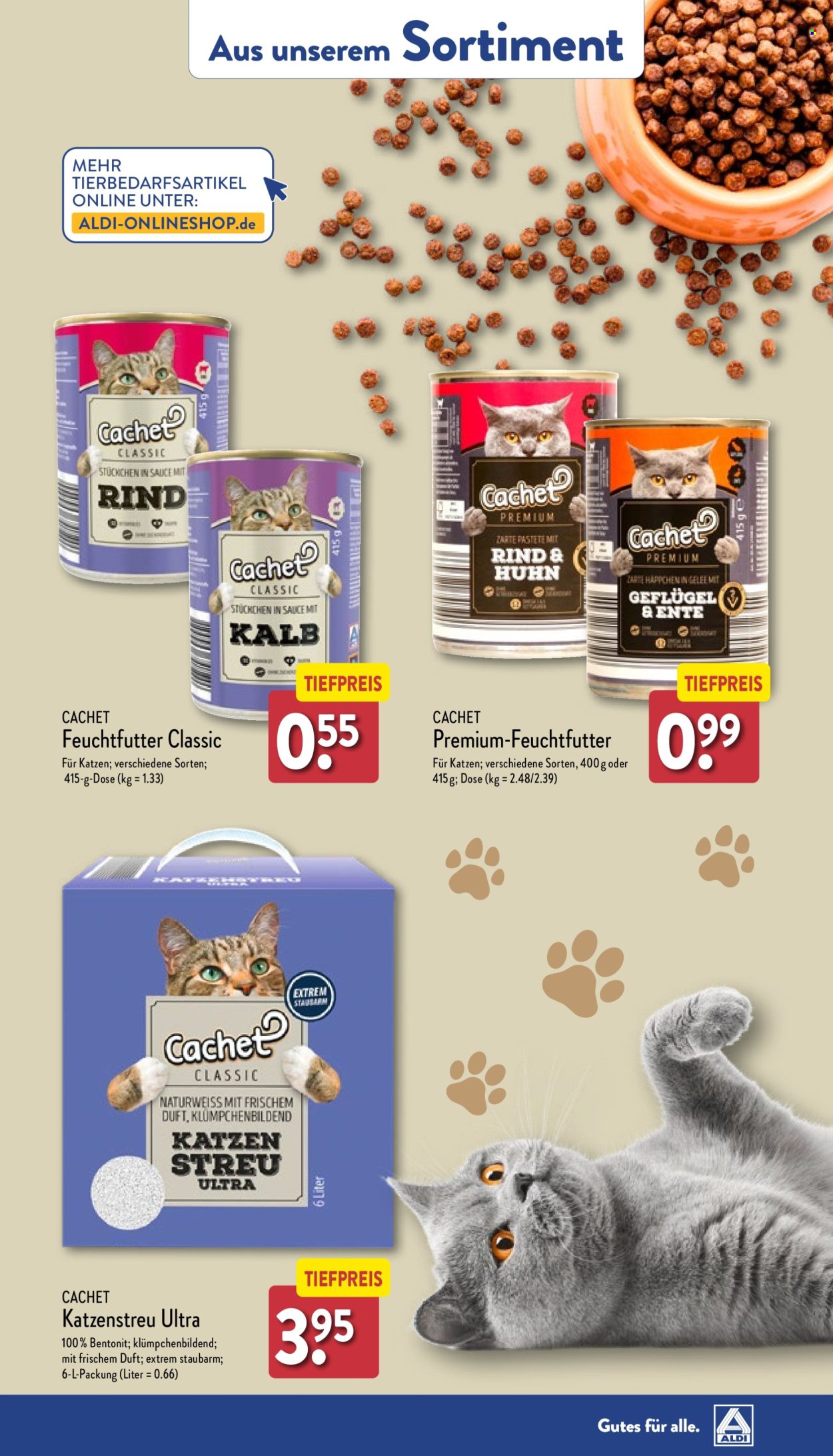 ALDI Nord Prospekte  - 5.08.2024 - 10.08.2024. Seite 37