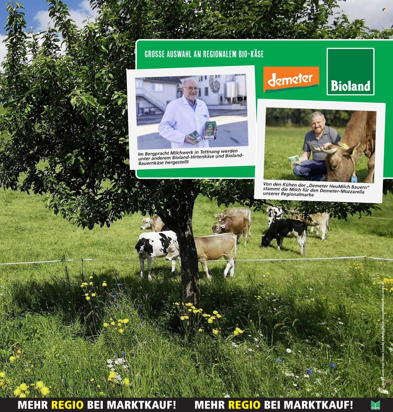 Marktkauf Prospekte  - 29.07.2024 - 3.08.2024. Seite 15