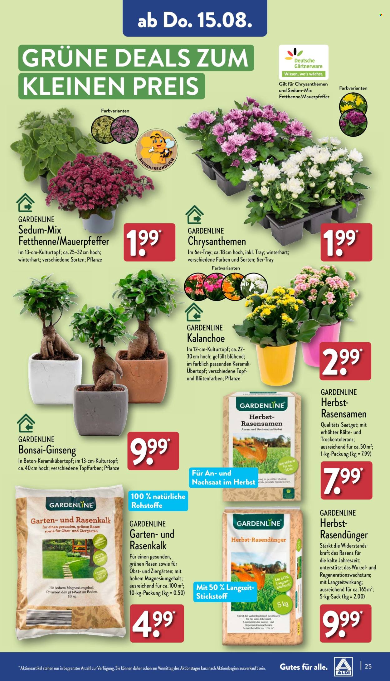 ALDI Nord Prospekte  - 12.08.2024 - 17.08.2024. Seite 25