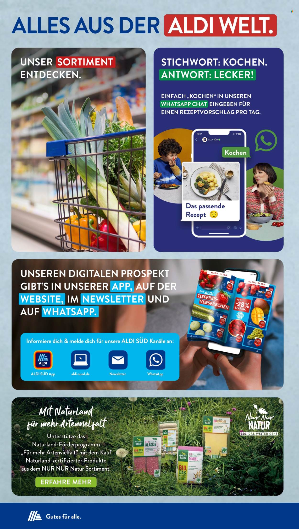 ALDI SÜD Prospekte  - 12.08.2024 - 17.08.2024. Seite 48