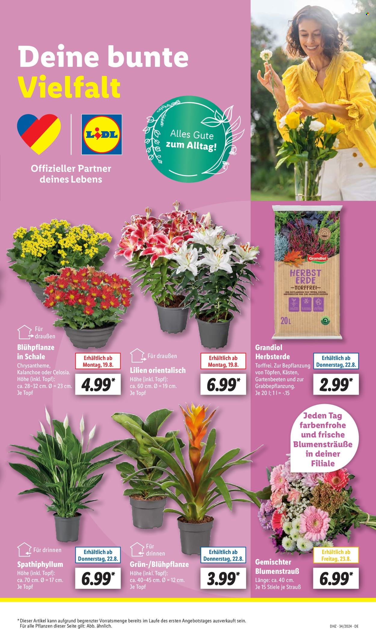 Lidl Prospekte  - 19.08.2024 - 24.08.2024. Seite 5