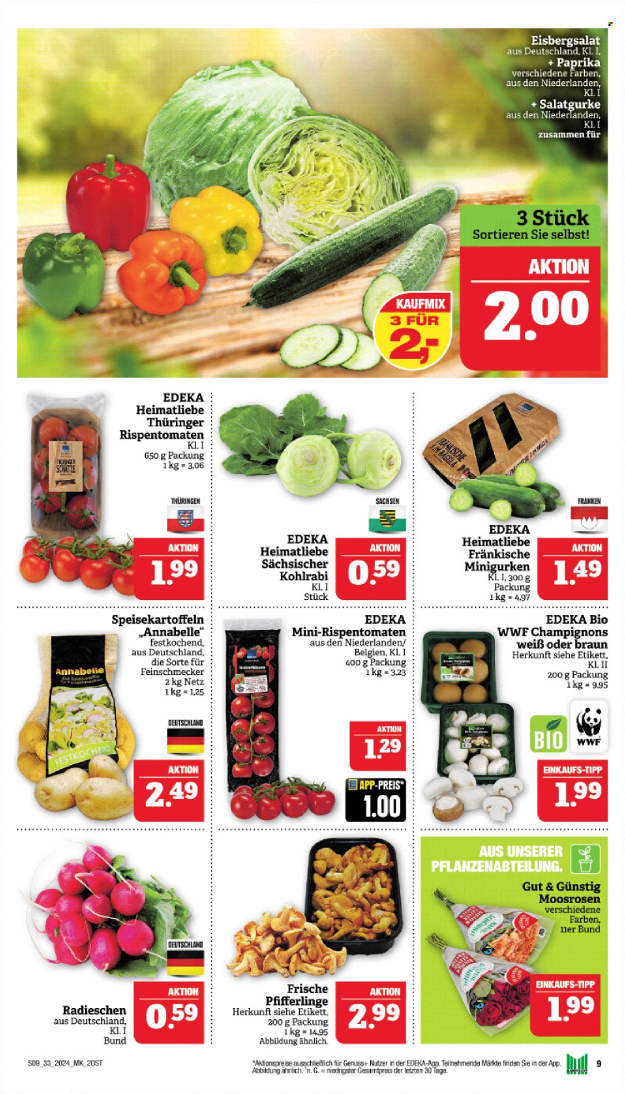 Marktkauf Prospekte  - 12.08.2024 - 17.08.2024. Seite 9