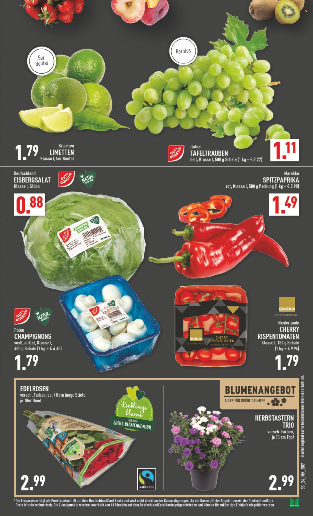 Marktkauf Prospekte  - 12.08.2024 - 17.08.2024. Seite 7