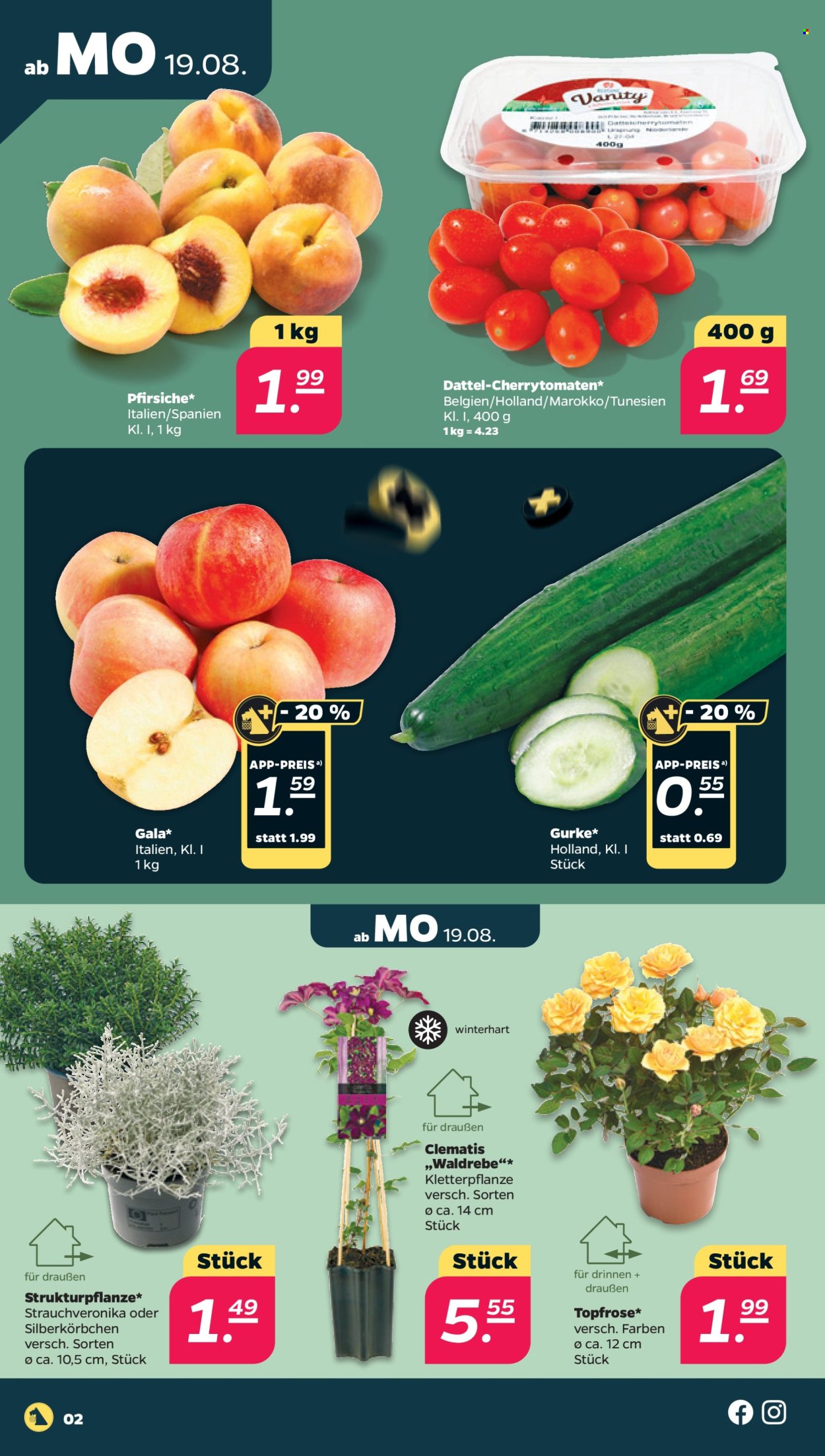 Netto Prospekte  - 19.08.2024 - 24.08.2024. Seite 2