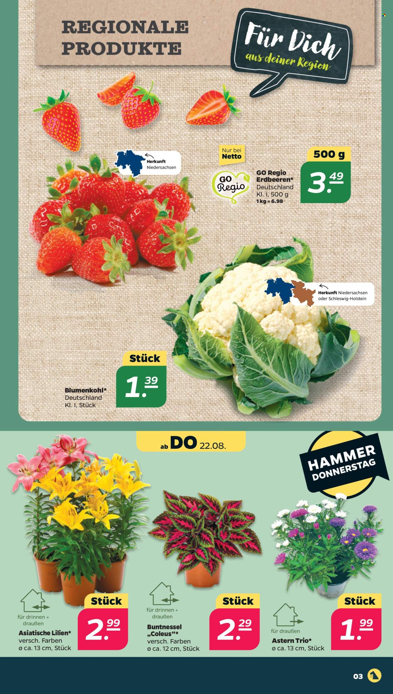 Netto Prospekte  - 19.08.2024 - 24.08.2024. Seite 3