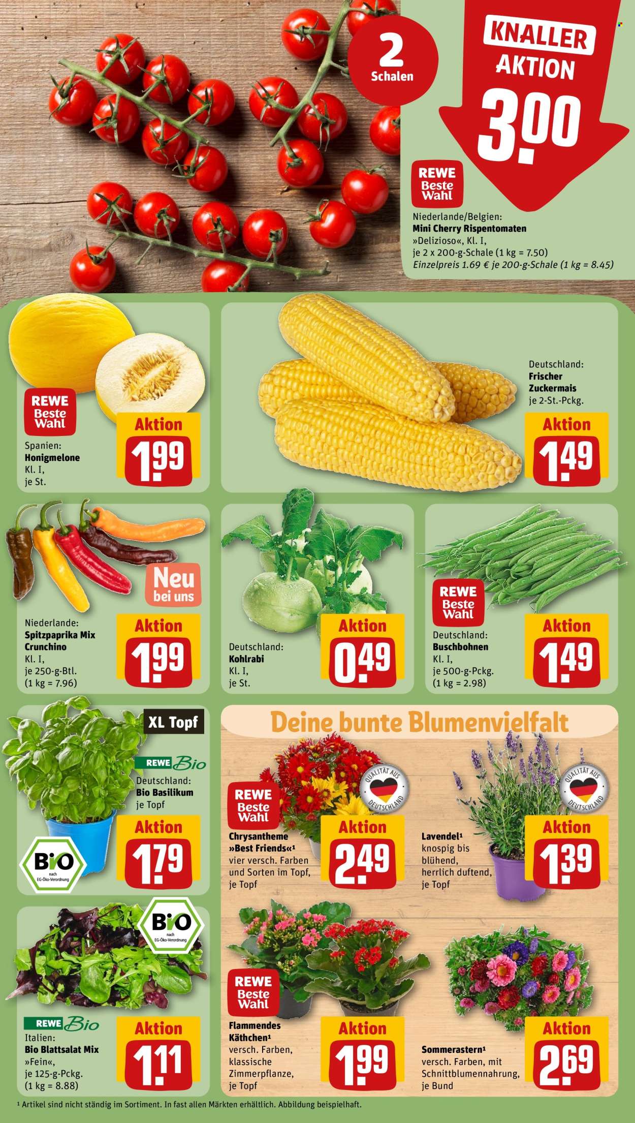 REWE Prospekte  - 19.08.2024 - 24.08.2024. Seite 7
