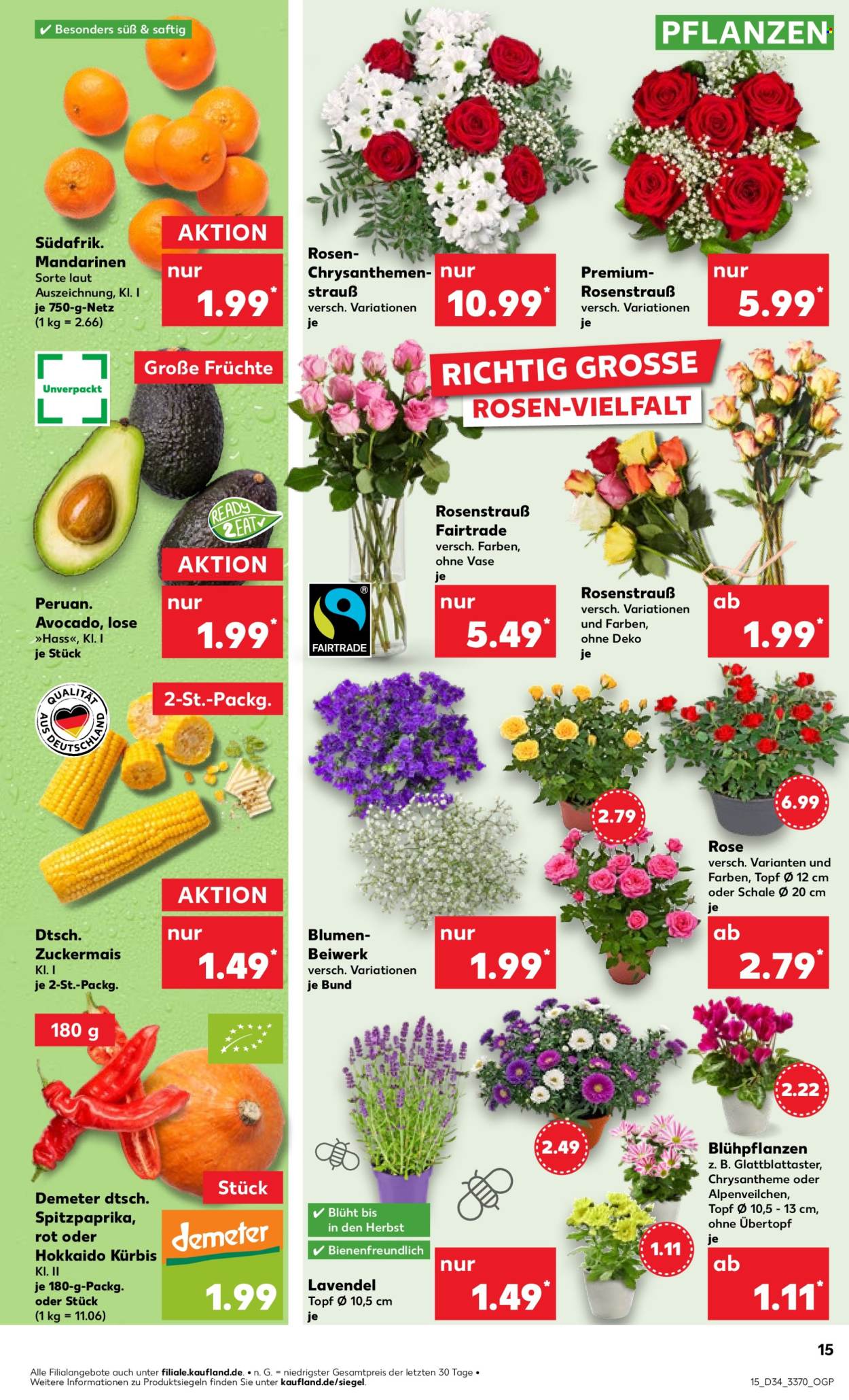 Kaufland Prospekte  - 22.08.2024 - 28.08.2024. Seite 15