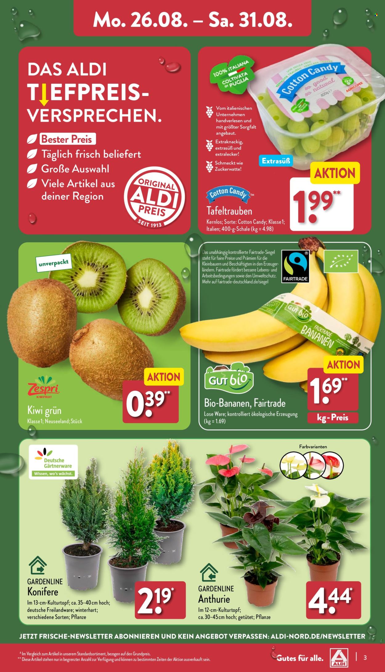 ALDI Nord Prospekte  - 26.08.2024 - 31.08.2024. Seite 3