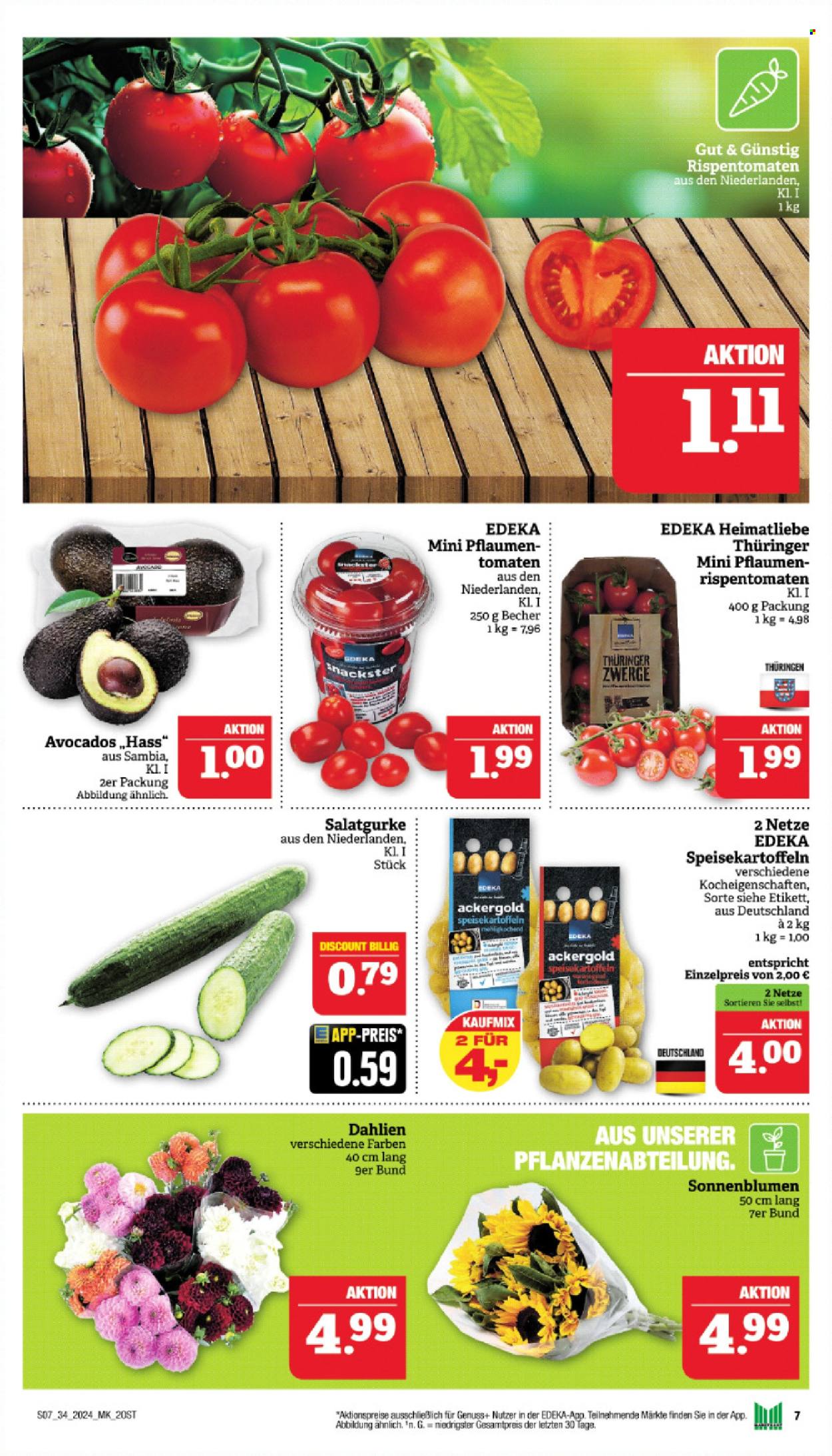 Marktkauf Prospekte  - 19.08.2024 - 24.08.2024. Seite 7
