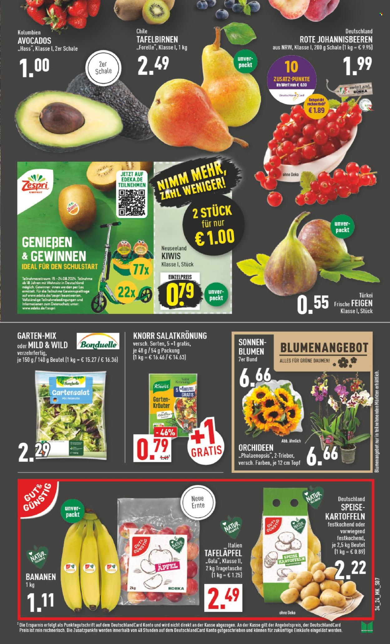 Marktkauf Prospekte  - 19.08.2024 - 24.08.2024. Seite 7