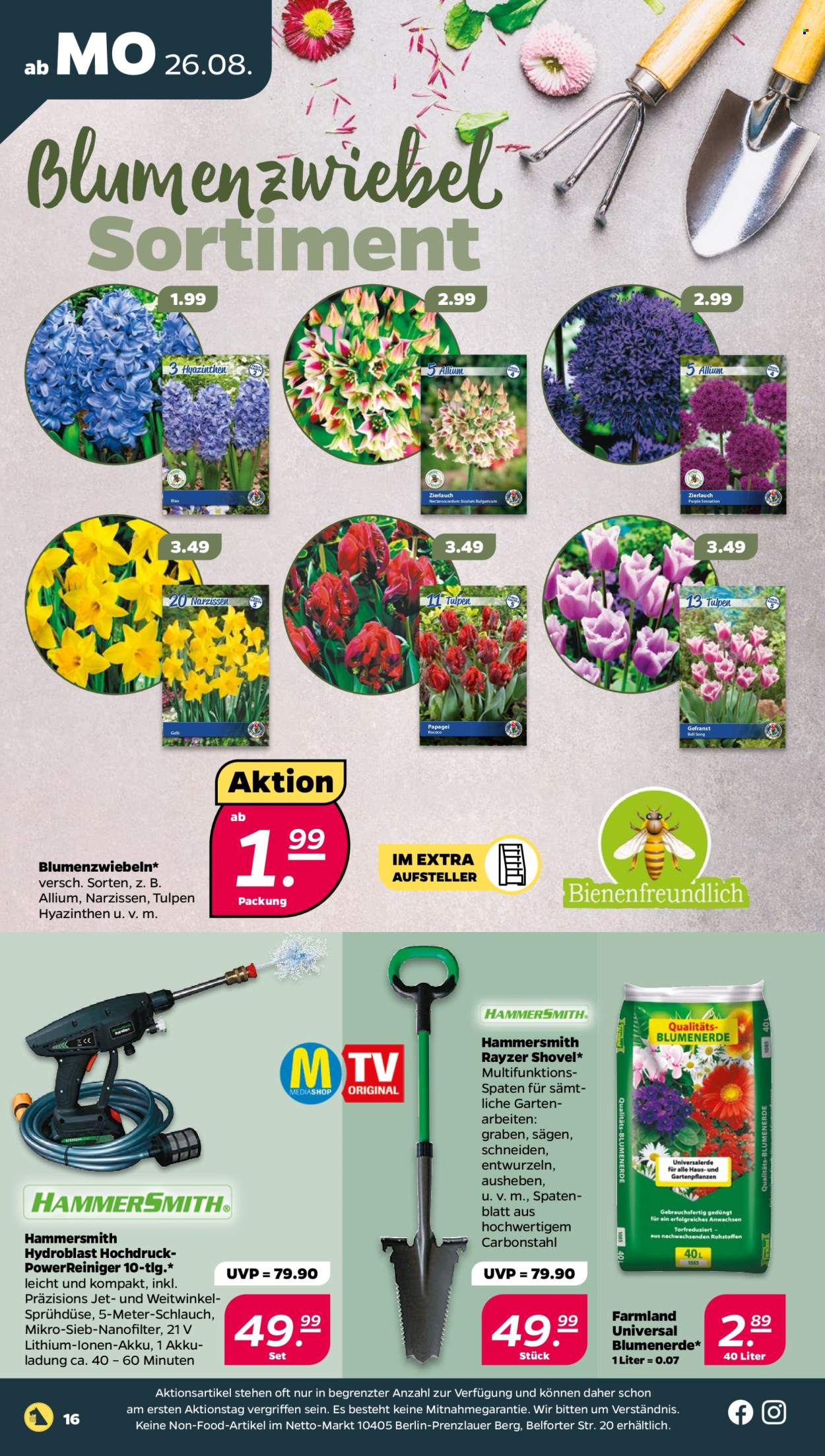 Netto Prospekte  - 26.08.2024 - 31.08.2024. Seite 16