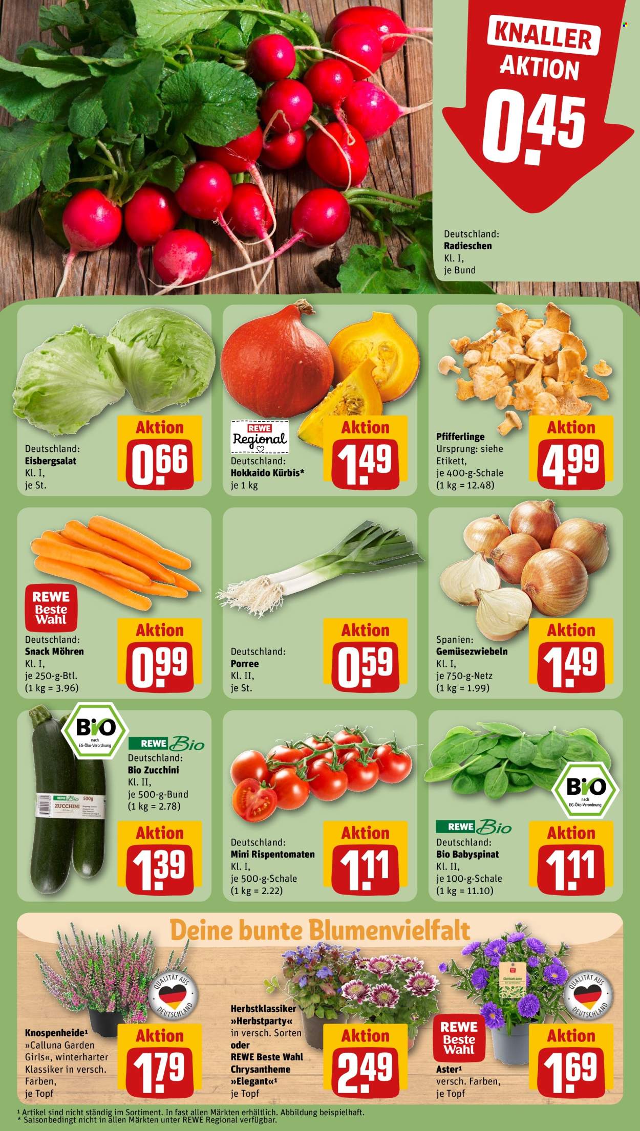 REWE Prospekte  - 26.08.2024 - 31.08.2024. Seite 7