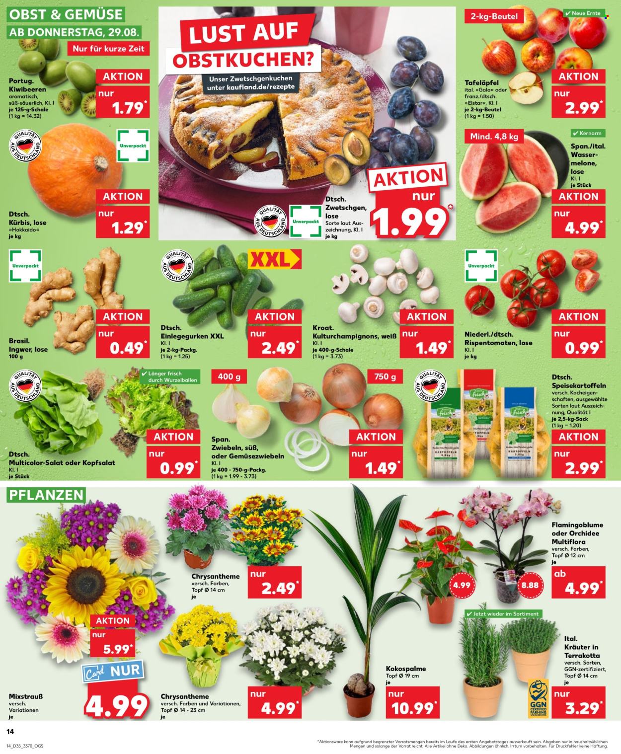 Kaufland Prospekte  - 29.08.2024 - 4.09.2024. Seite 14