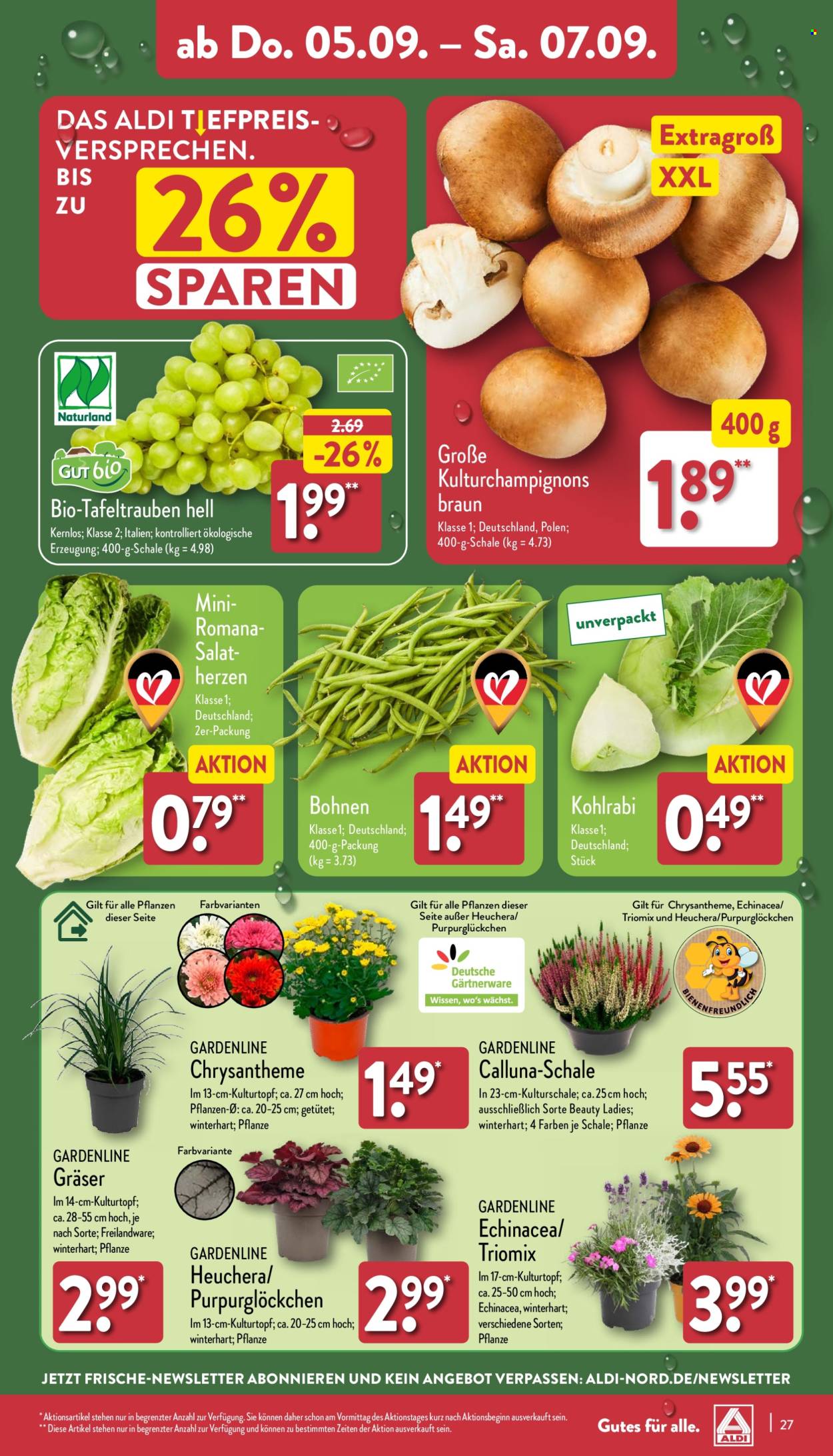 ALDI Nord Prospekte  - 2.09.2024 - 7.09.2024. Seite 27