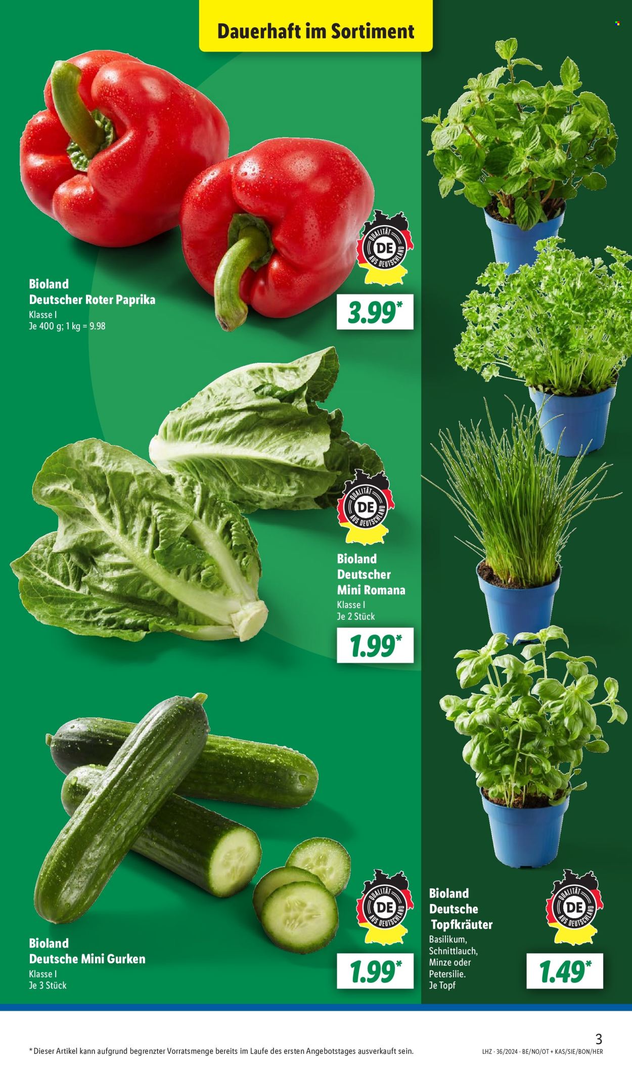 Lidl Prospekte  - 2.09.2024 - 7.09.2024. Seite 3