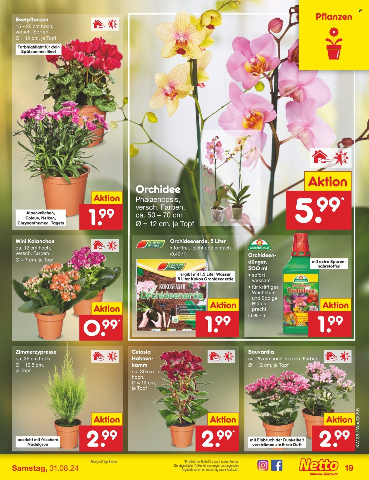 Netto Marken-Discount Prospekte  - 26.08.2024 - 31.08.2024. Seite 19